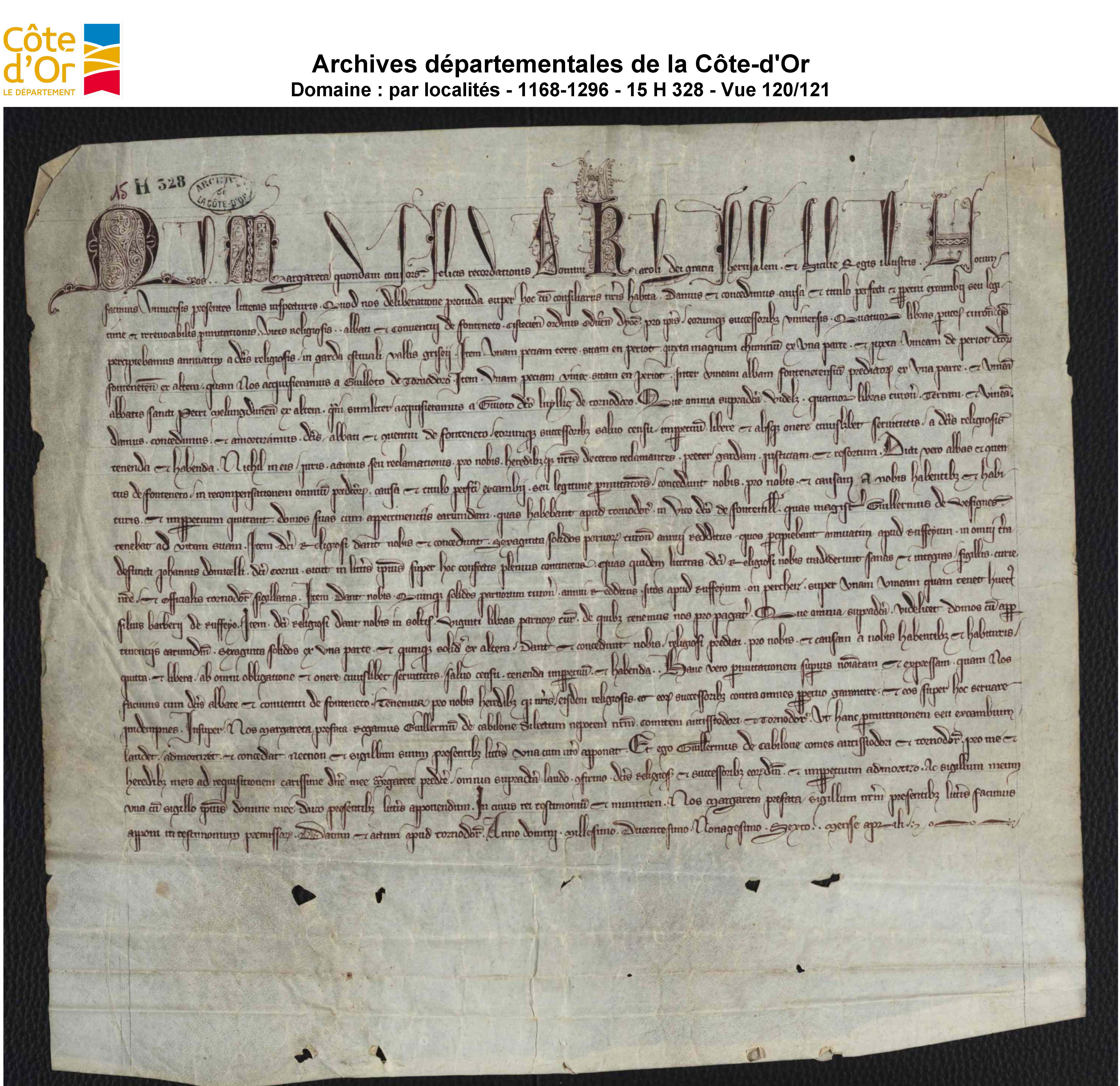 http://images.monasterium.net/illum/IllUrk/1296-04-99_Dijon_AD_Cote_dOr_15_h_328_-_vue_120121.jpg