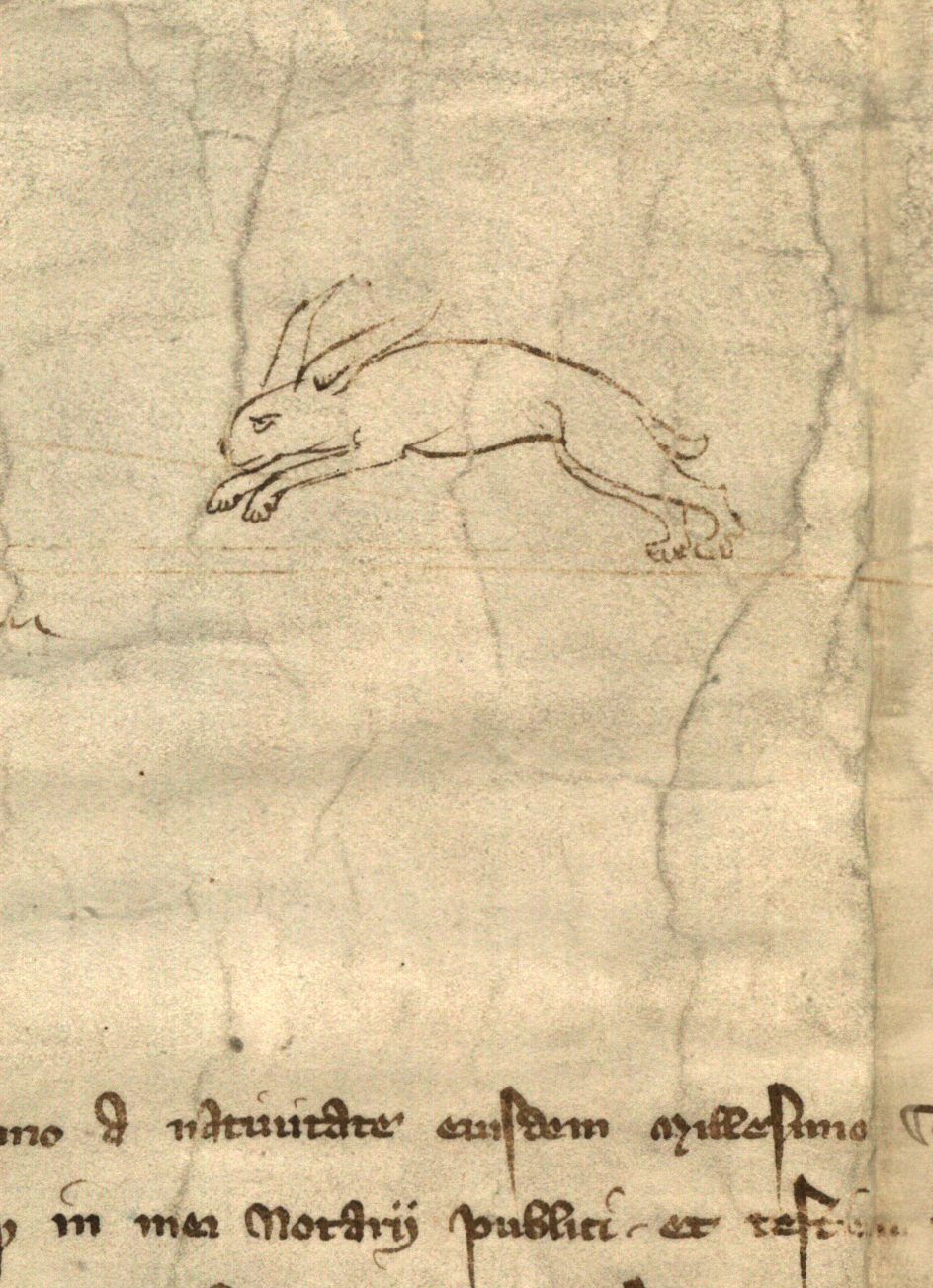 http://images.monasterium.net/illum/IllUrk/1339-01-13._2Nuernberg_StA_det3.jpg