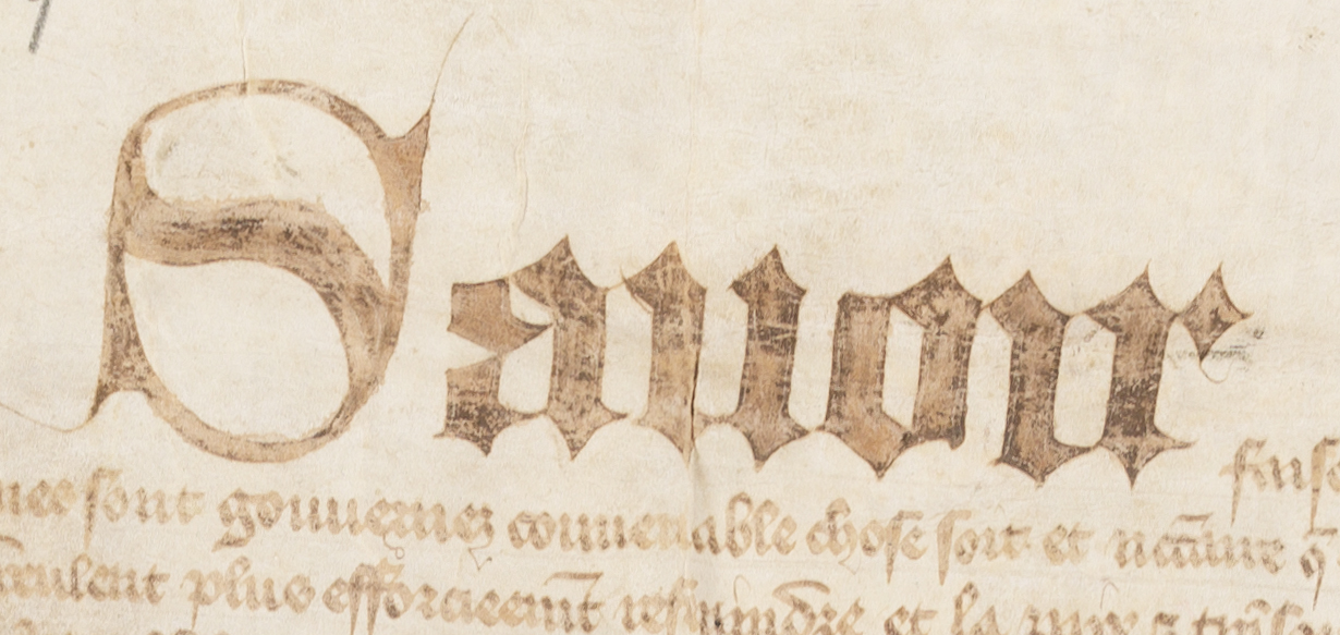 http://images.monasterium.net/illum/IllUrk/1371-10-28_Paris_AN_J677_no9_fran_2015_05156_det2.jpg