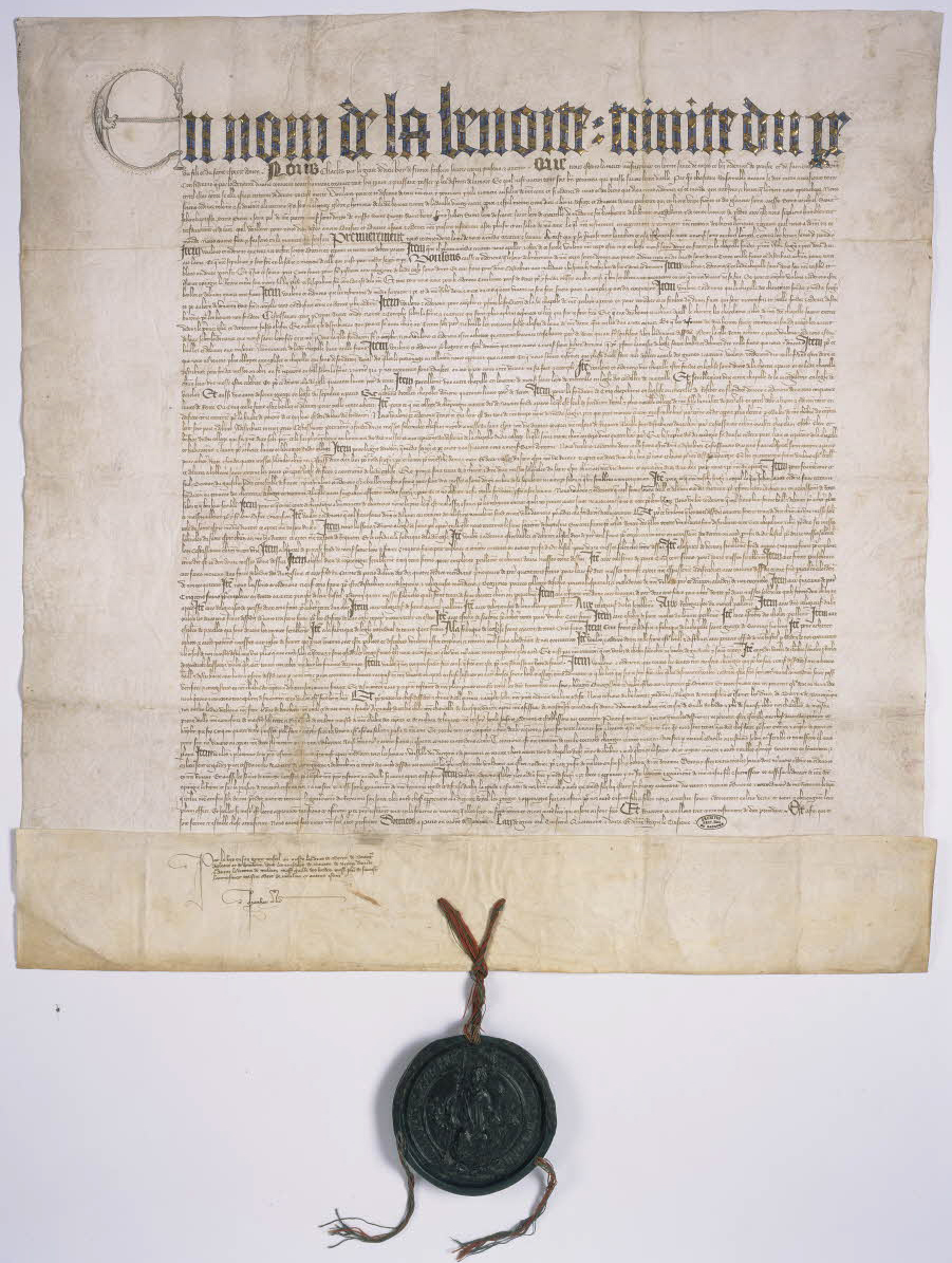 http://images.monasterium.net/illum/IllUrk/1393-01-99_J404_no40_FRAN_CD_01575.img.jpg