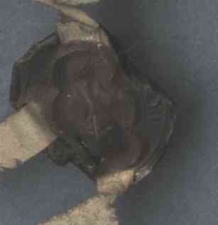 StA-Urk-1149r_S2.jpg