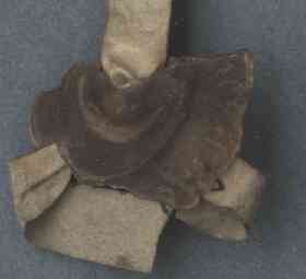 StA-Urk-1251r_S1.jpg