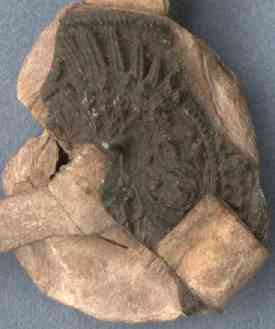 StA-Urk-2569r_S.jpg