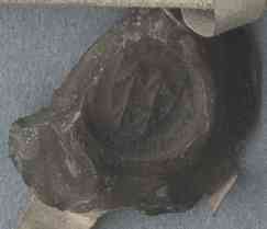 StA-Urk-770v_S2.jpg