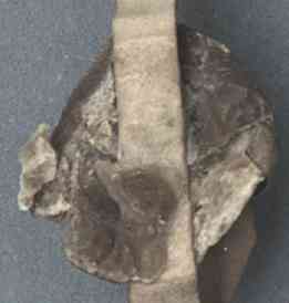 StA-Urk-793r_S2.jpg