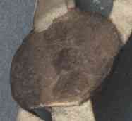 StA-Urk-834r_S2.jpg