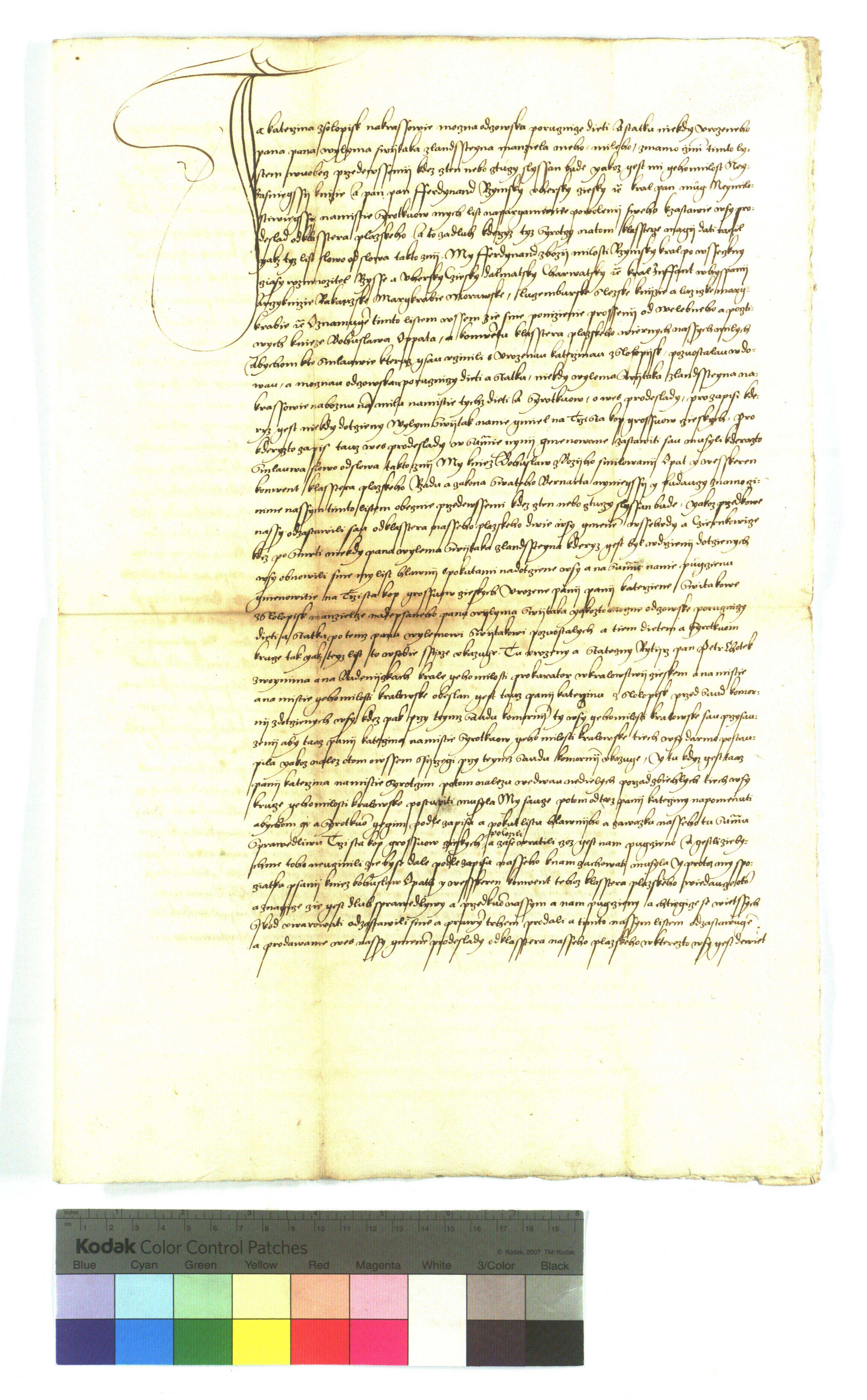 NA-CG-L_15450919_1388_01.jpg