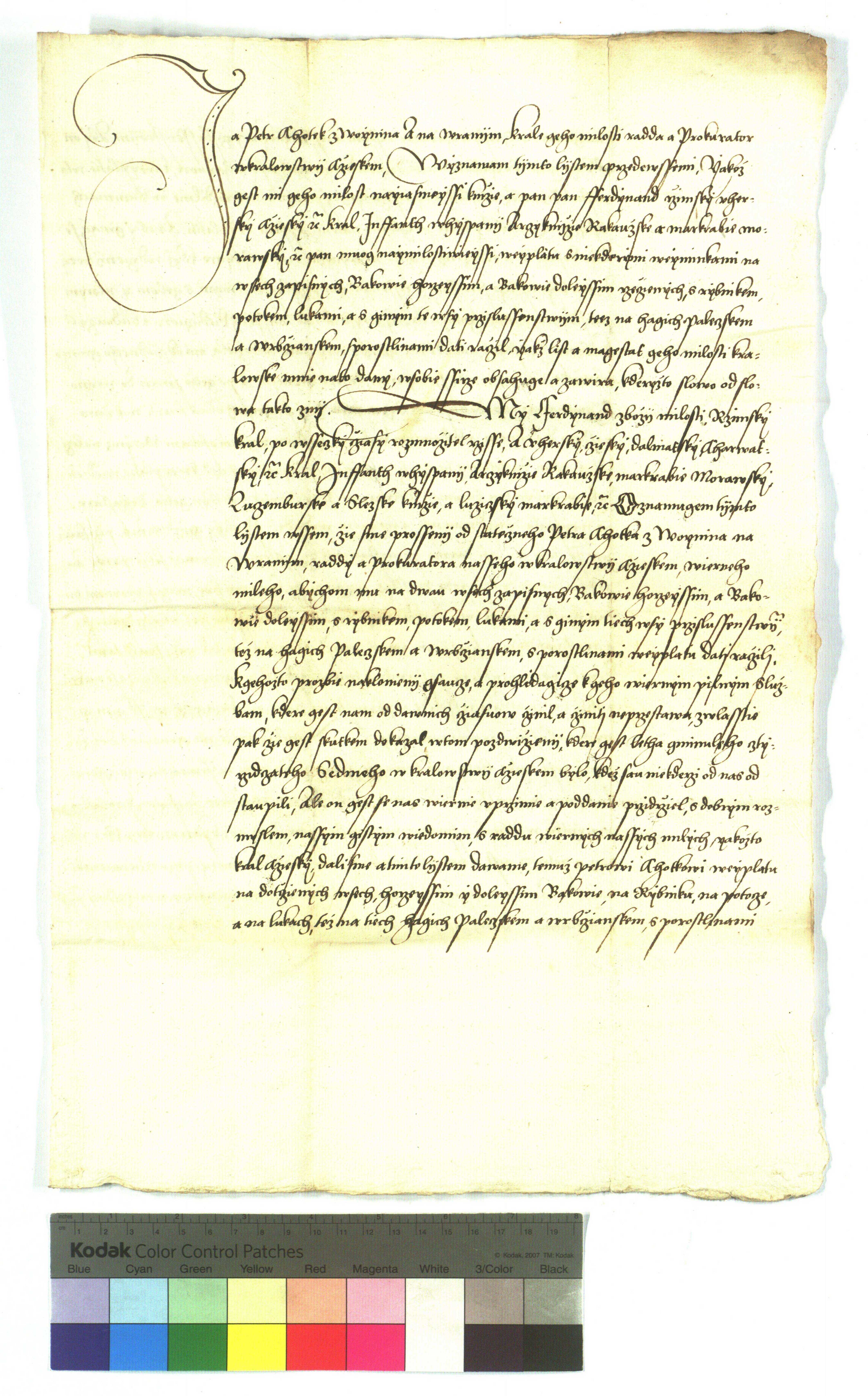 NA-CG-L_15520120_1874_01.jpg