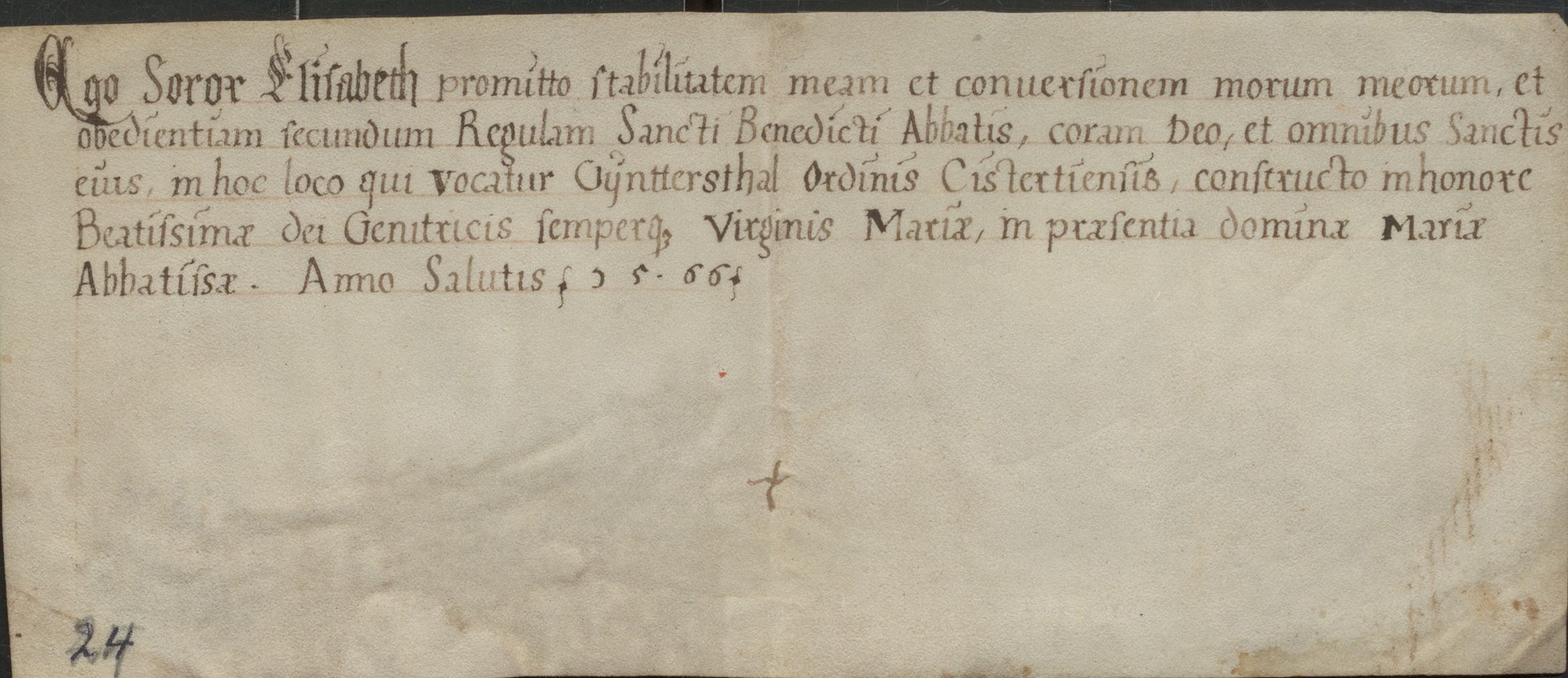 EAF_Urkundensammlung-Haid_516x_r.jpg
