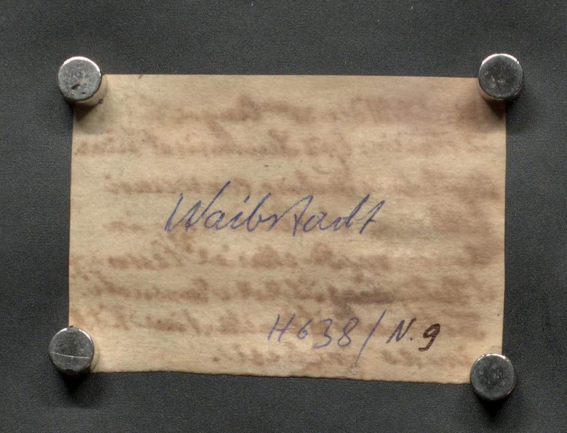 EAF_Urkundensammlung-Haid_750q_v.jpg