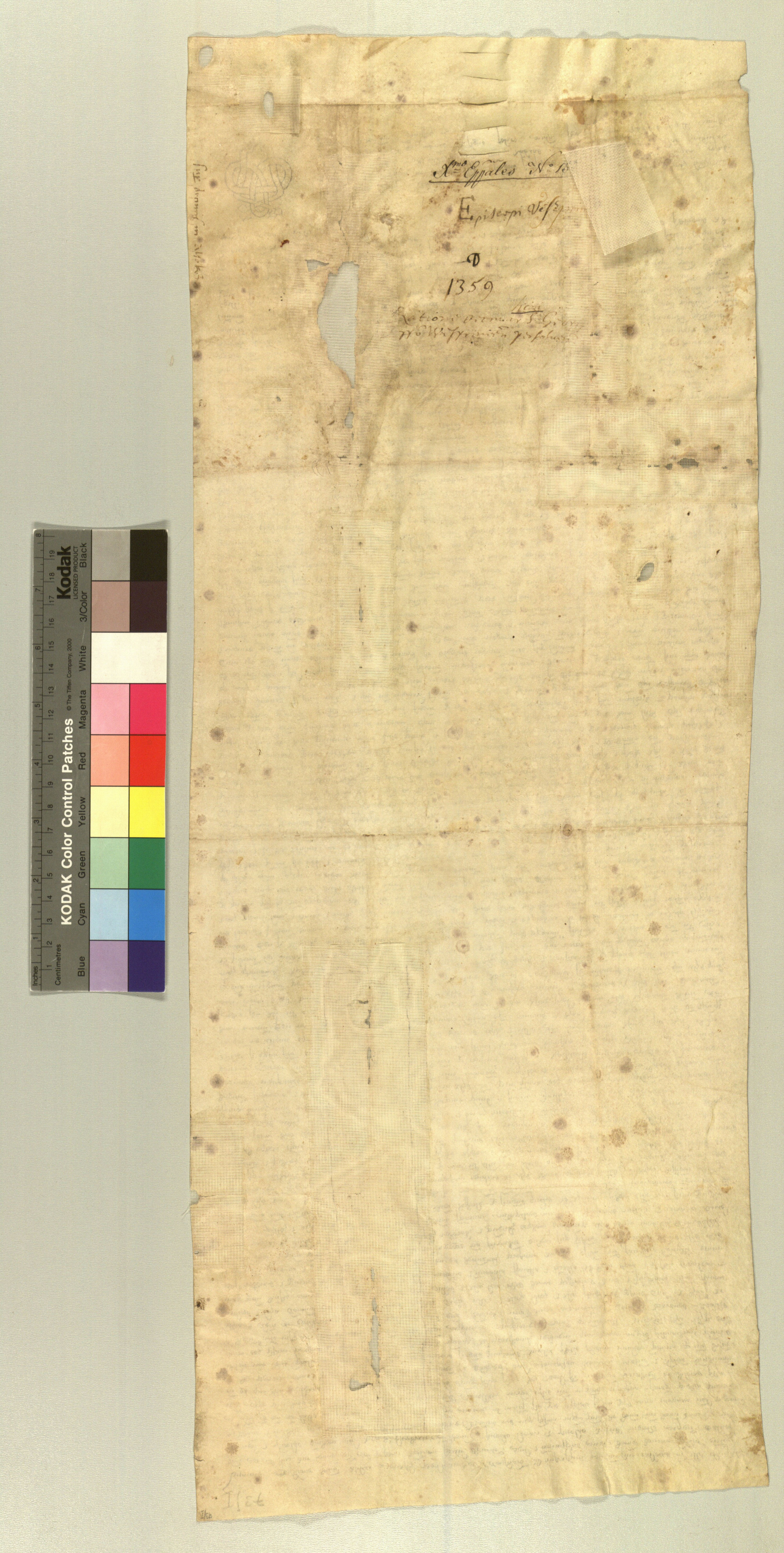 VeL_EP_1359_200221v.jpg