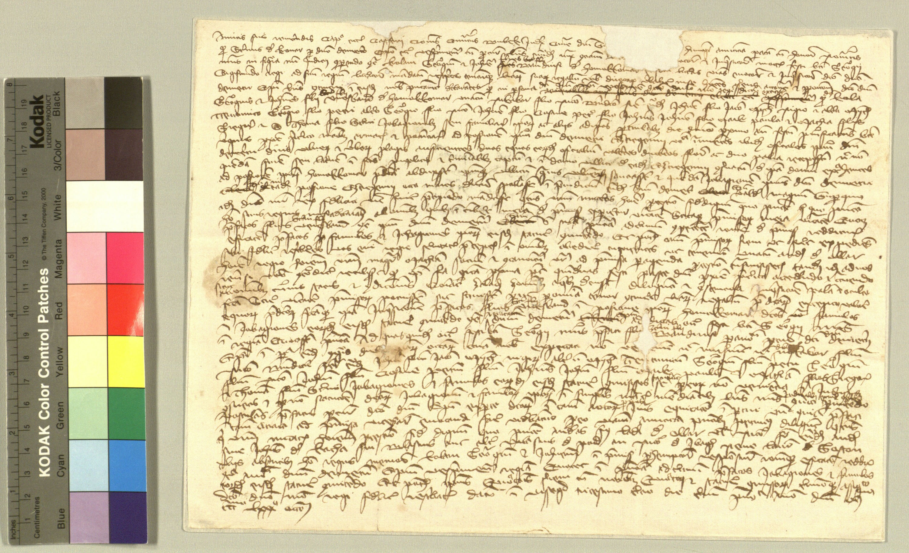 VeL_EP_1388_200322.jpg