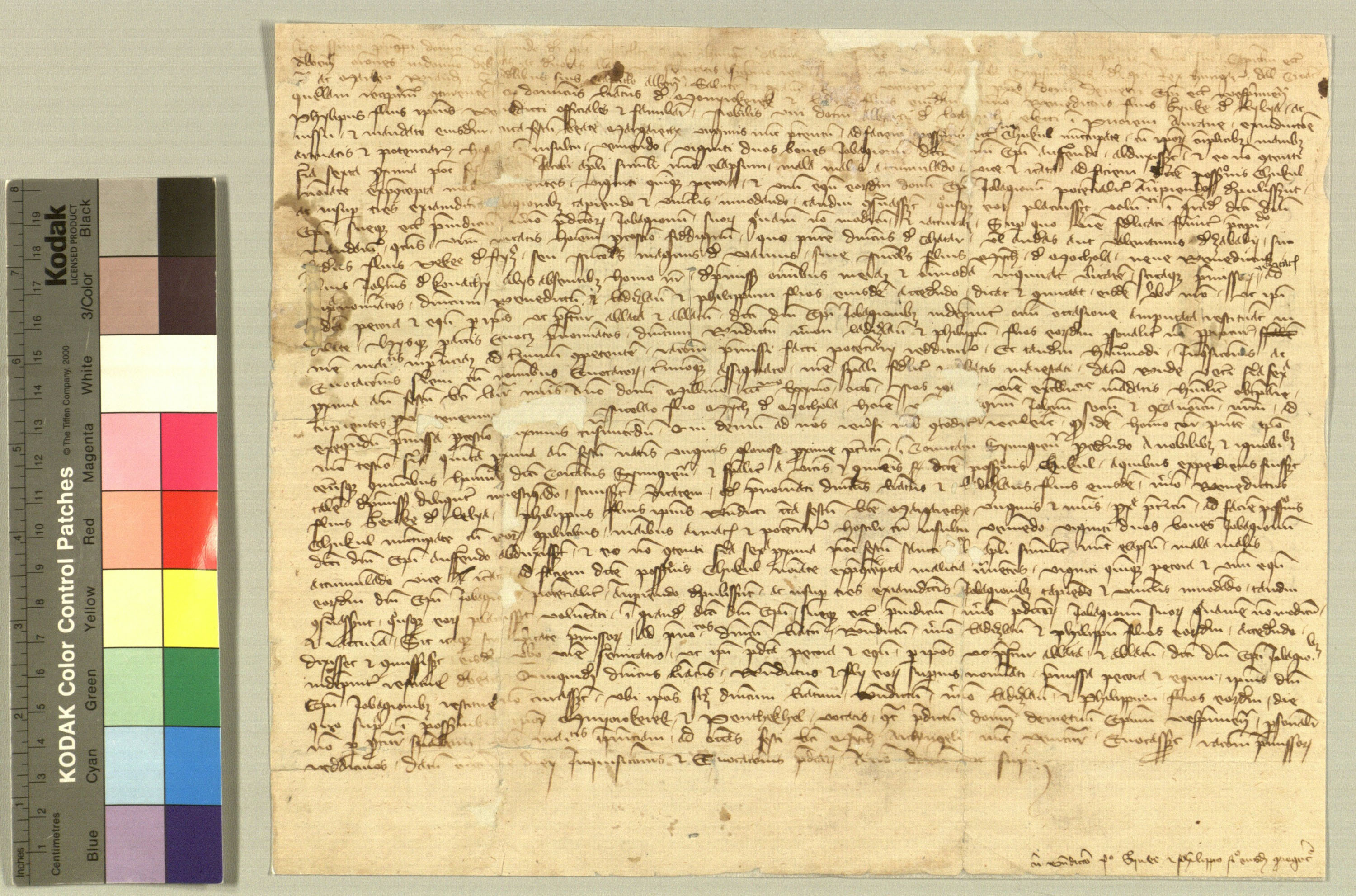 VeL_EP_1388_200325.jpg