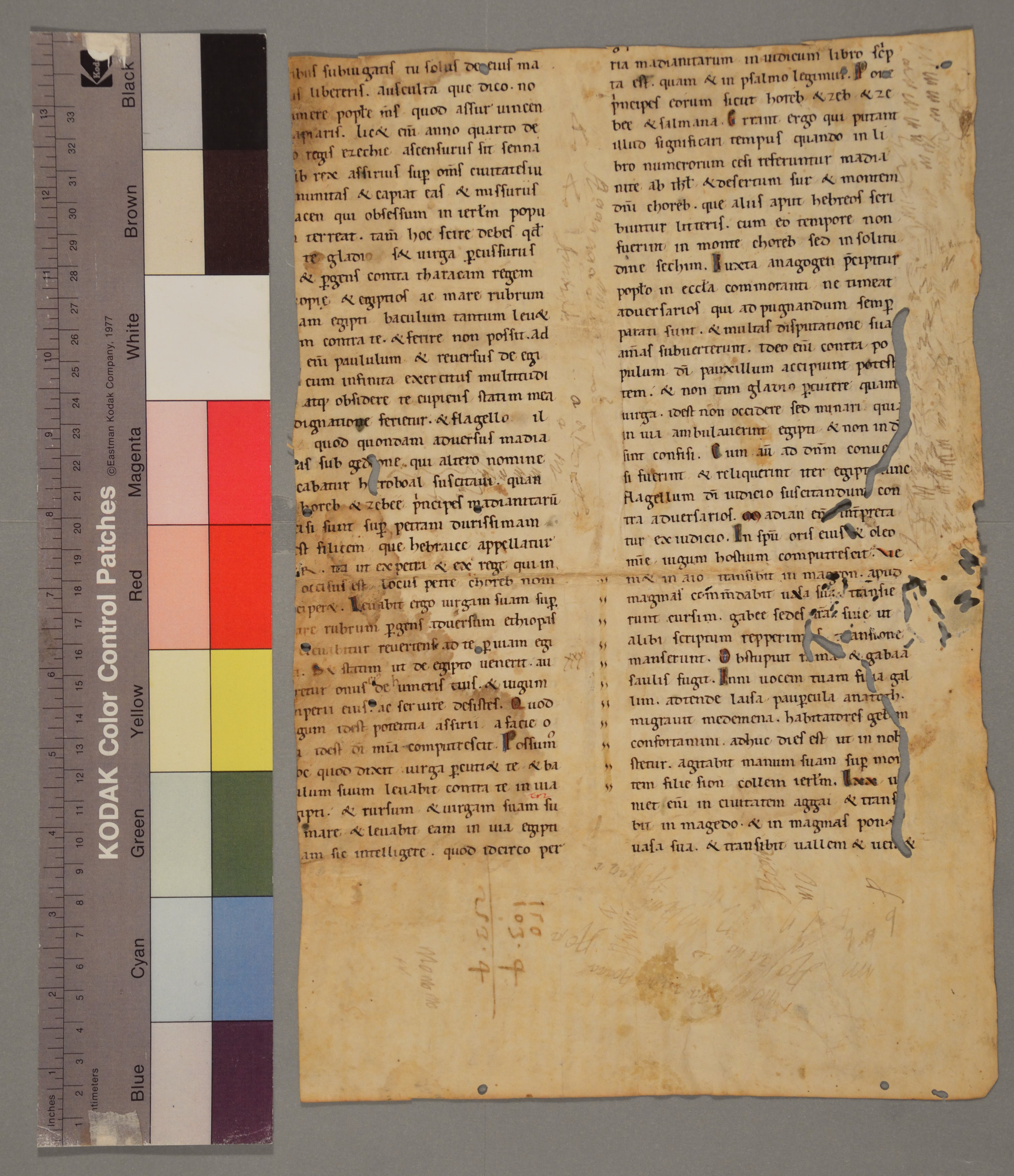 ASBa_App_11999999_3_r.jpg
