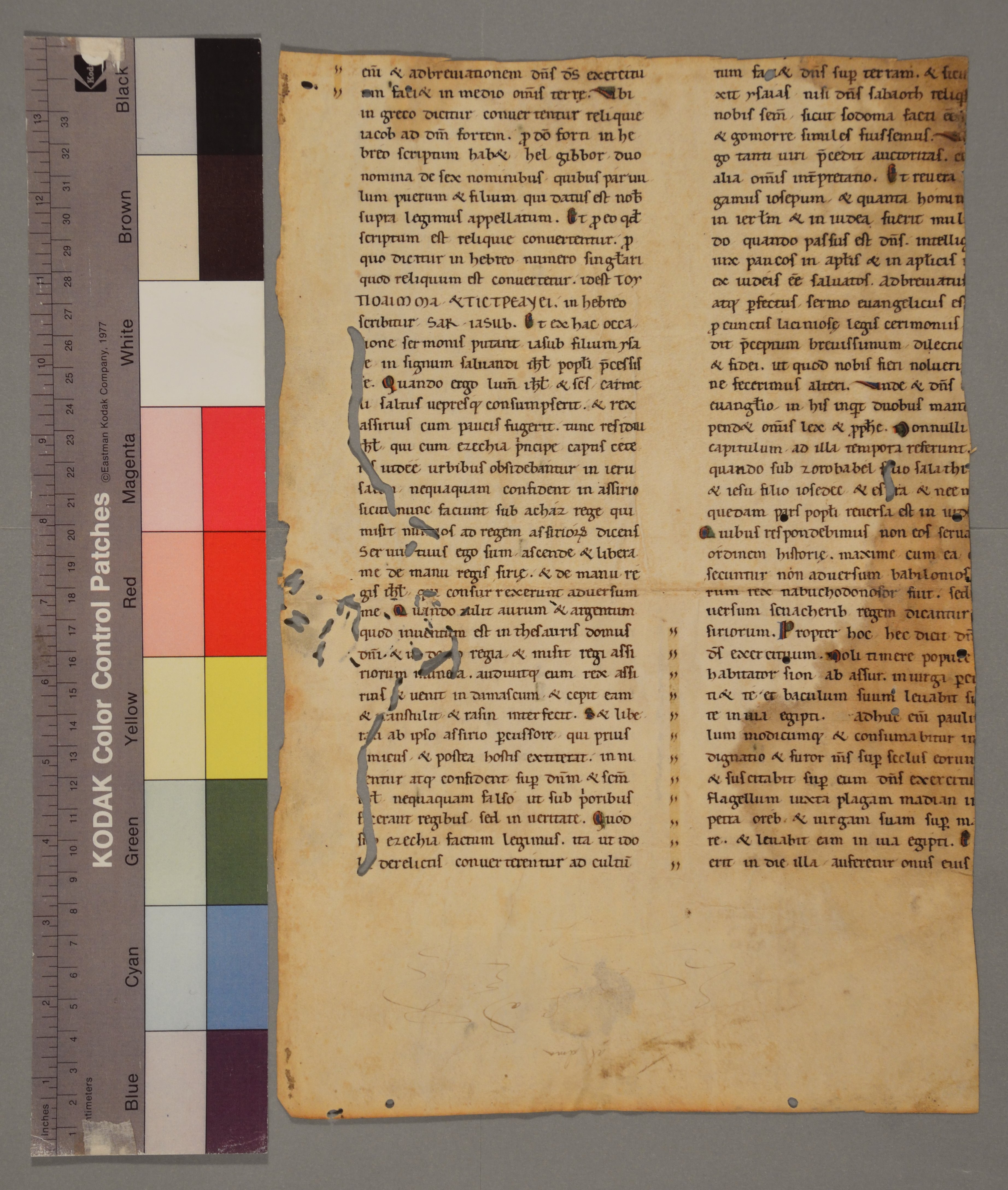 ASBa_App_11999999_3_v.jpg