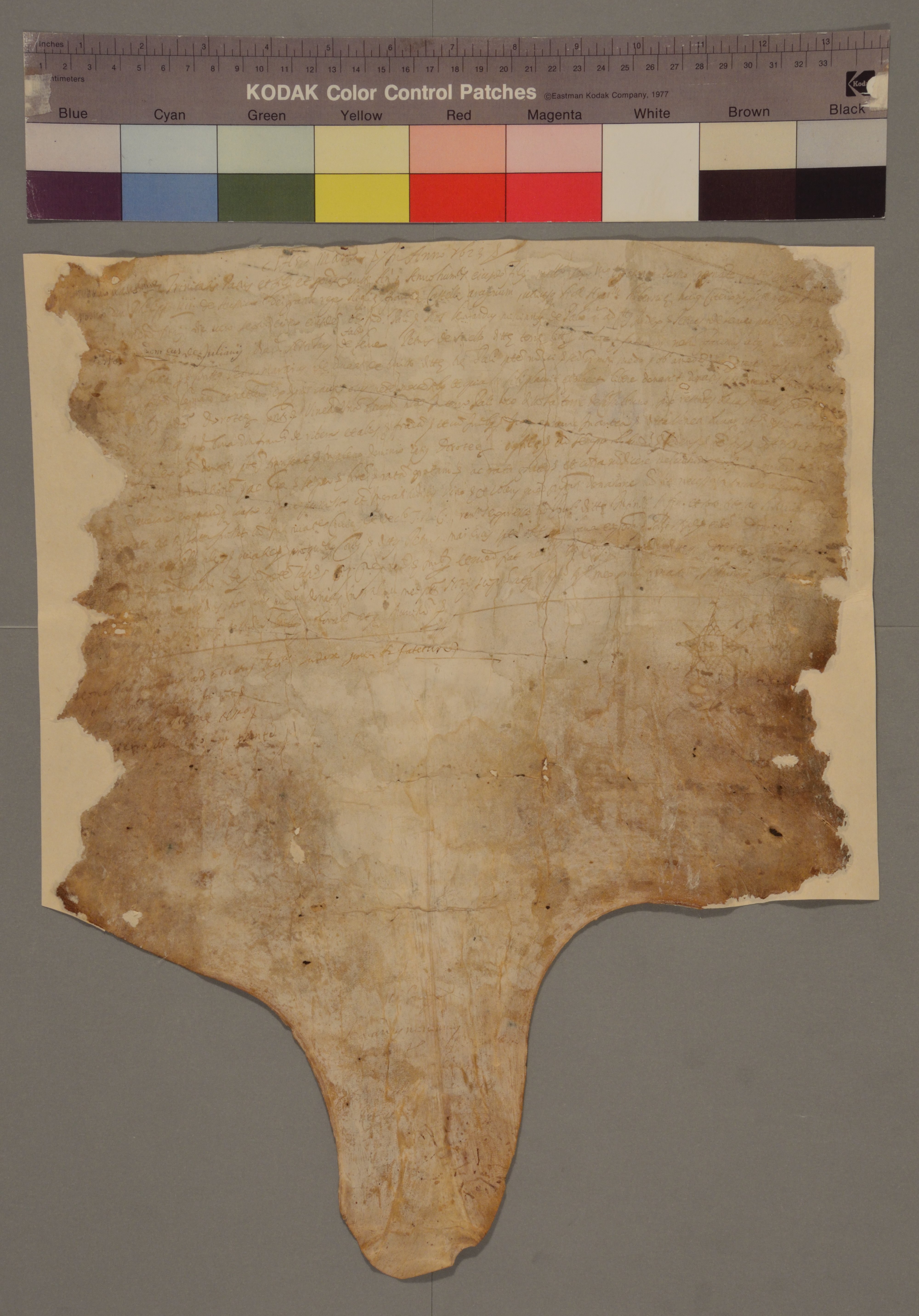 ASBa_Giu_16230516_1_r.jpg