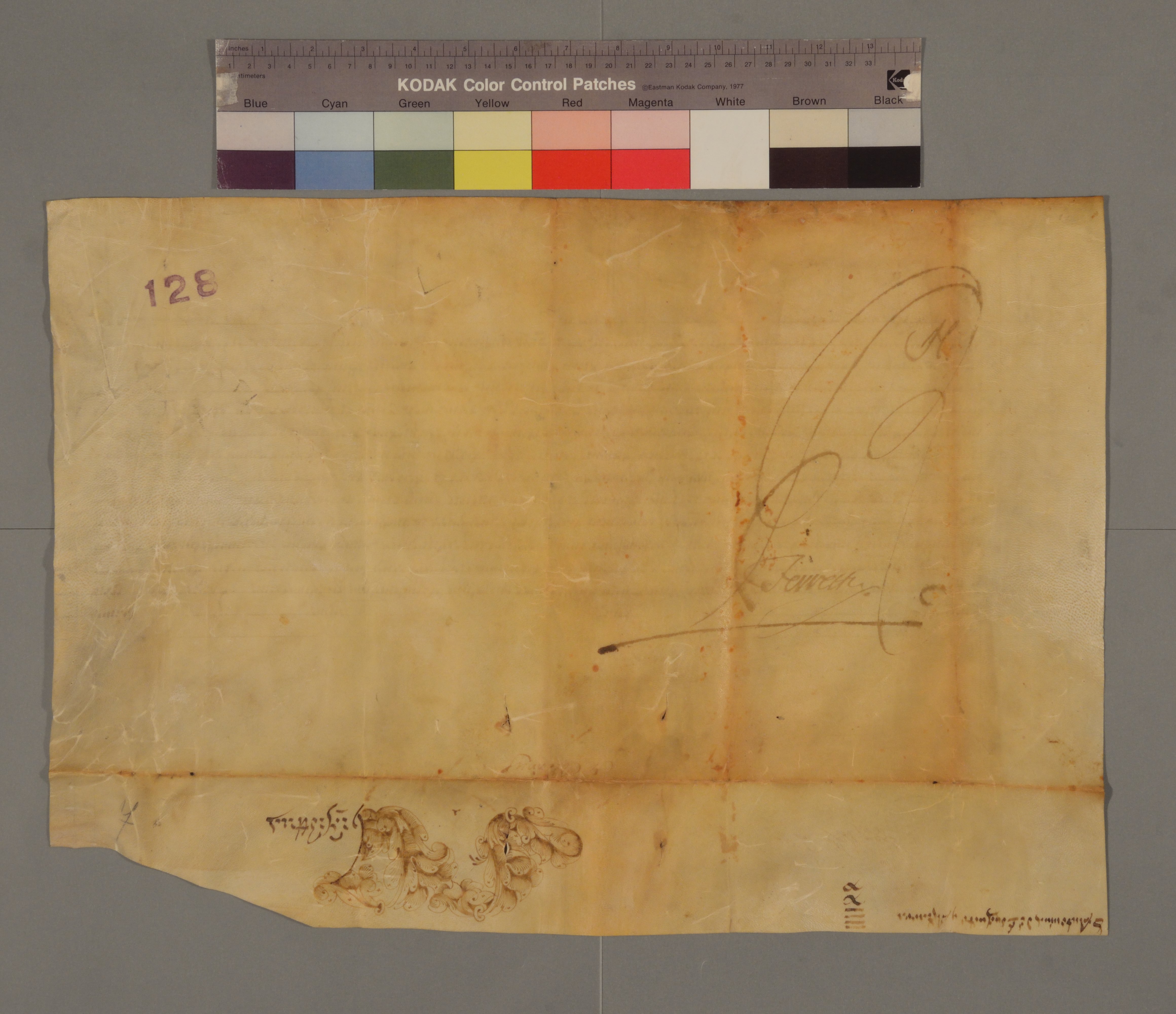 ASBa_Lup_17310430_7_v.jpg