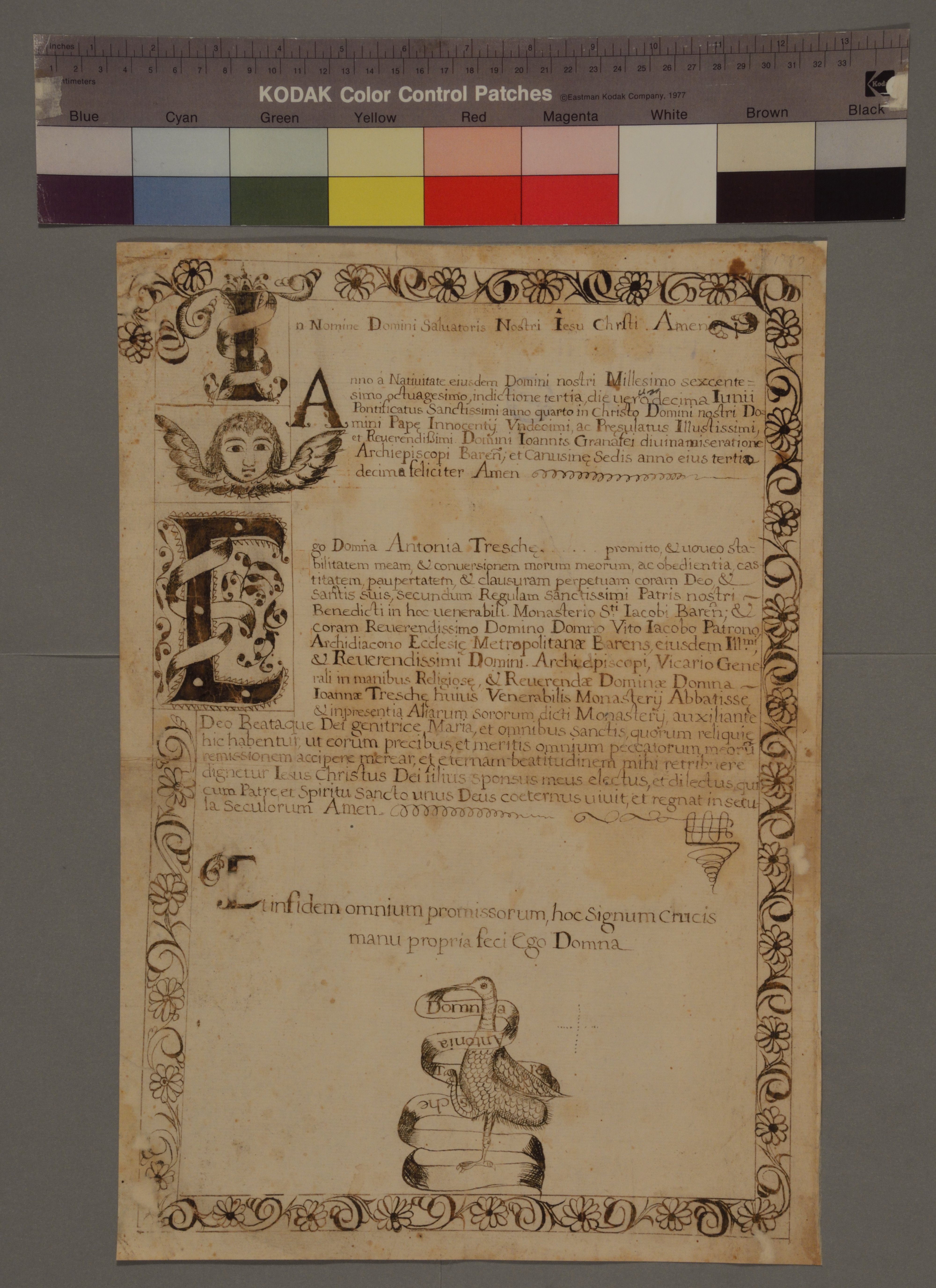 ASBa_SGiac.dipl_16800611_3_r.jpg