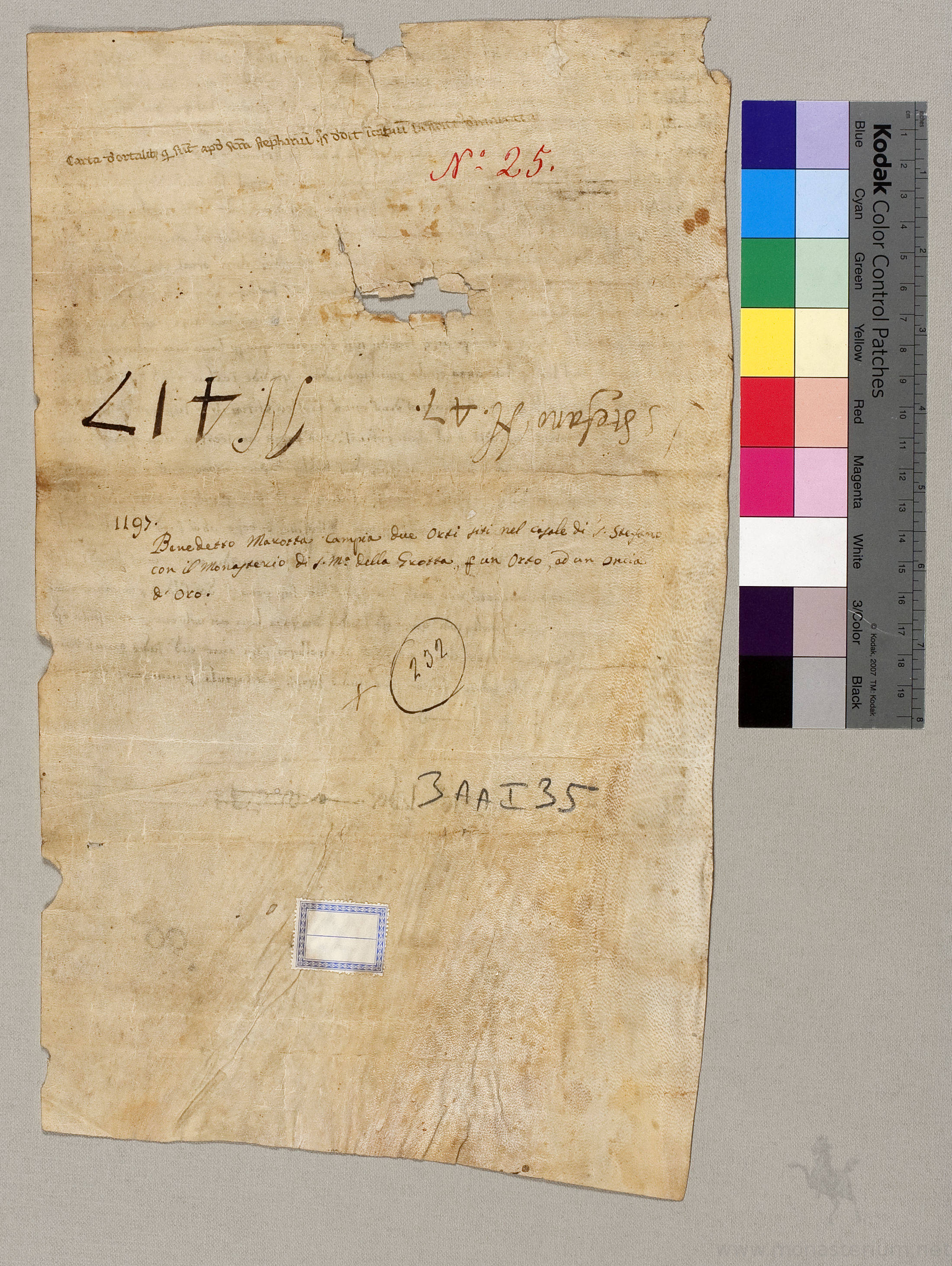 BSNSP_11979999_3AAI_35_v.jpg