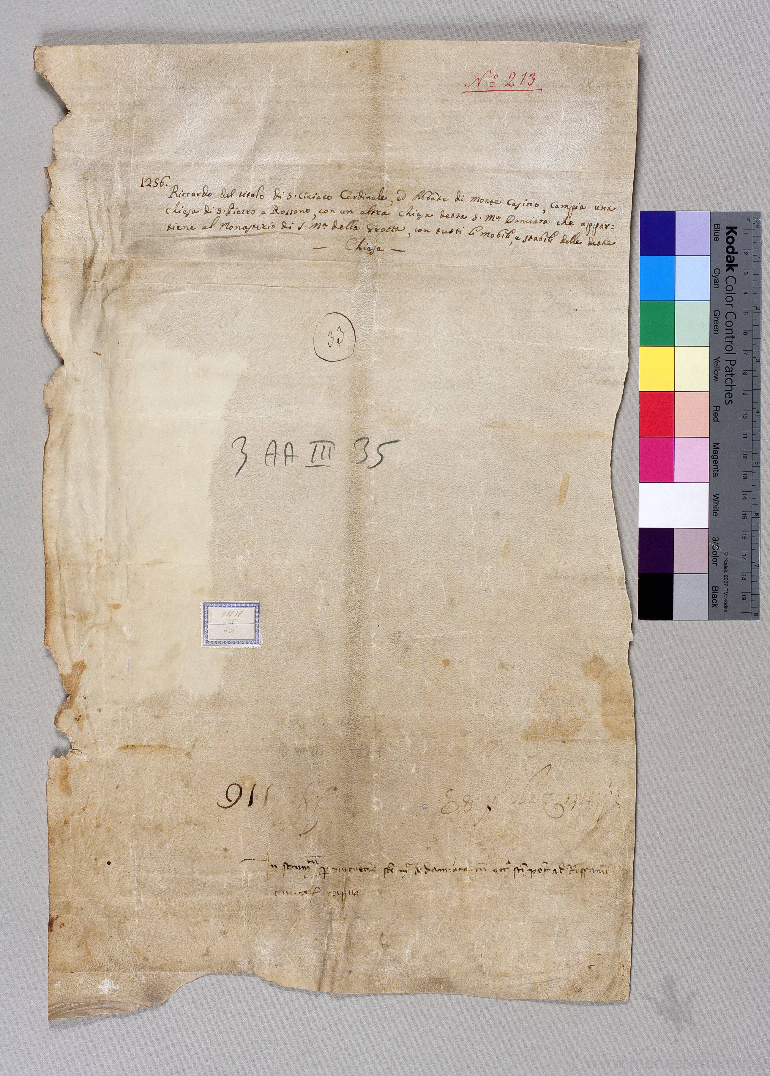 BSNSP_12560625_3AAIII_35_v.jpg