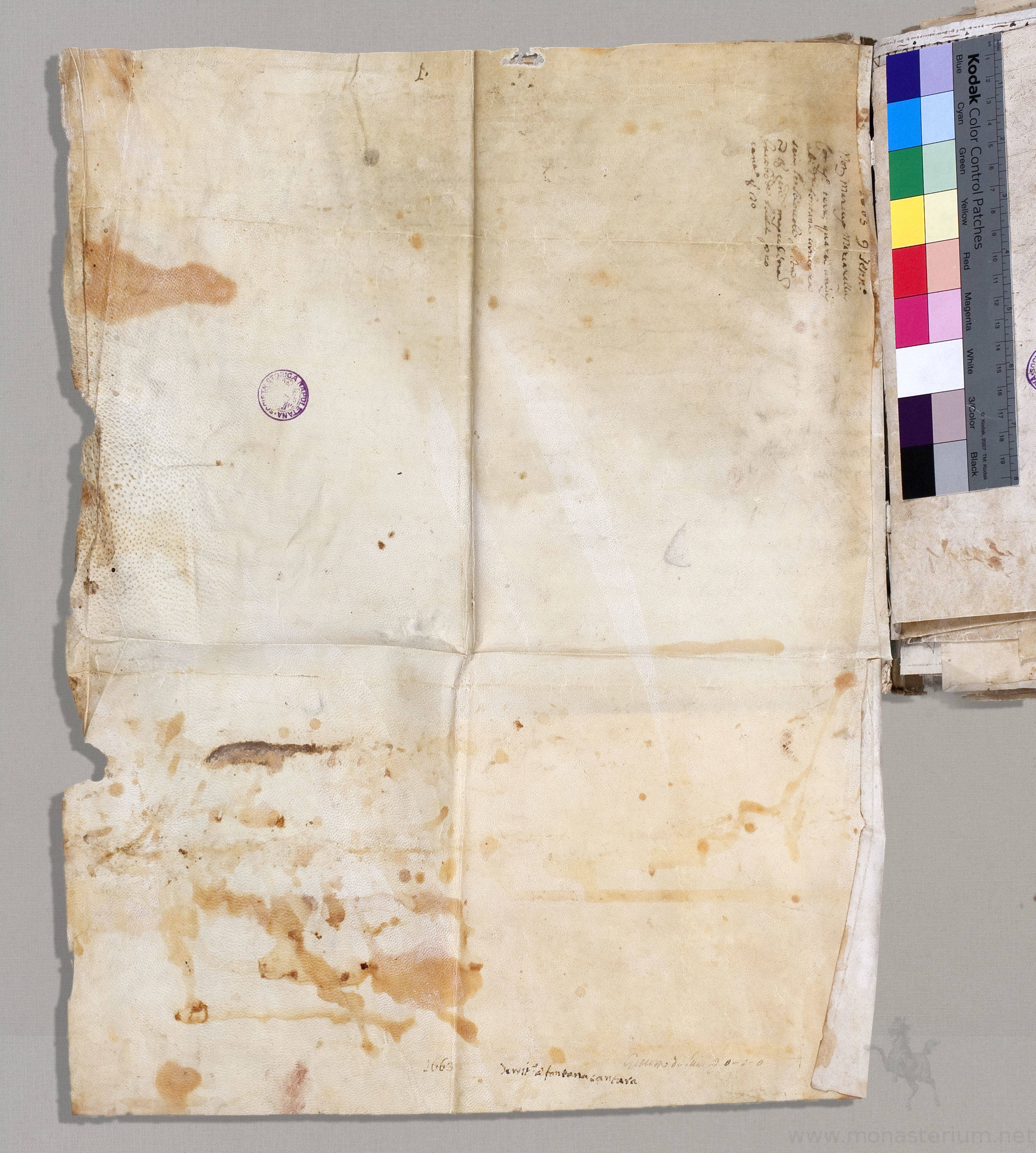 BSNSP_16630109_4BBIII_1_v.jpg