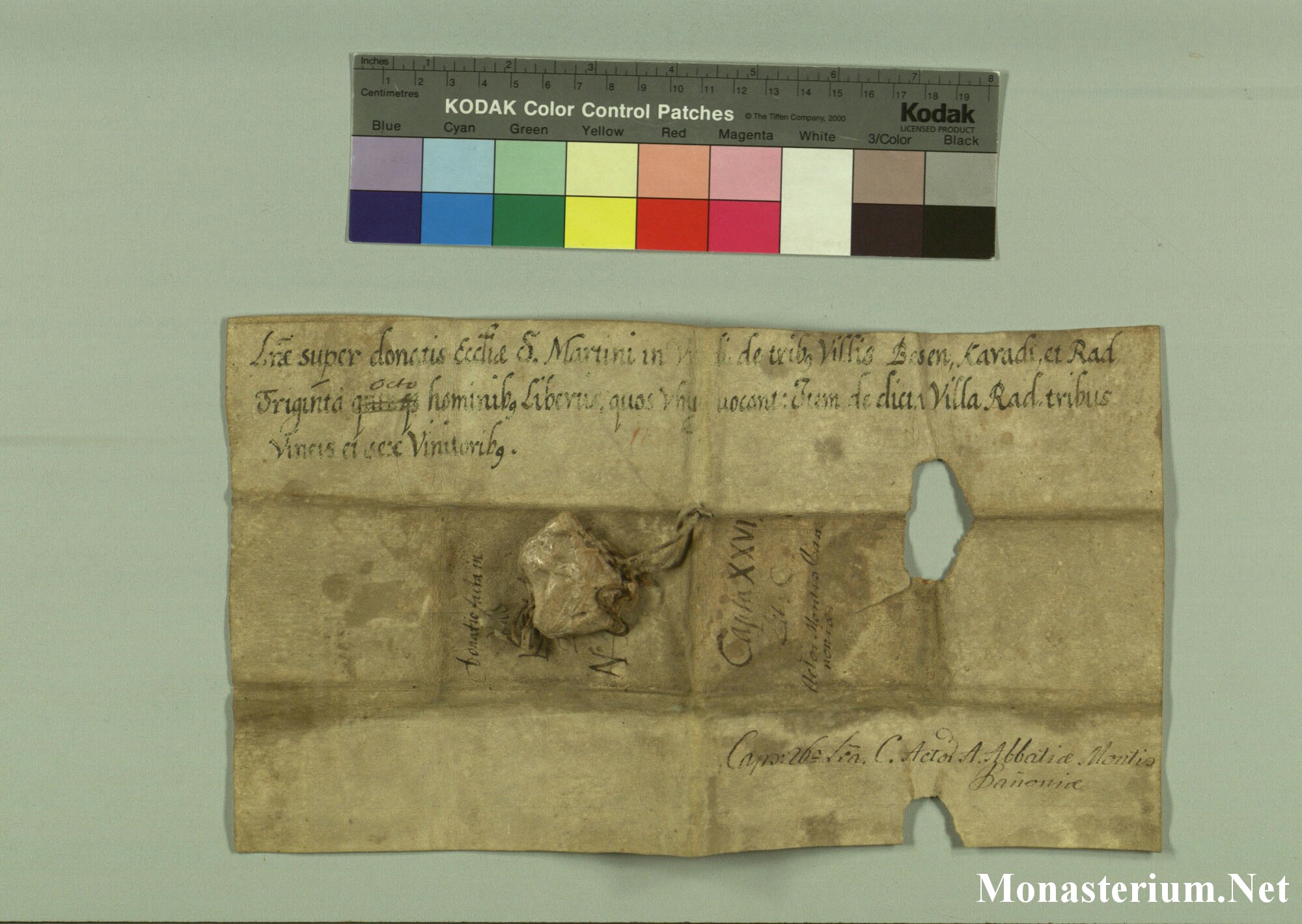 K.._MOM-Bilddateien._~Pannonhalmajpgweb._~Capsarium._~Pann_1131_1141_206807v.jpg