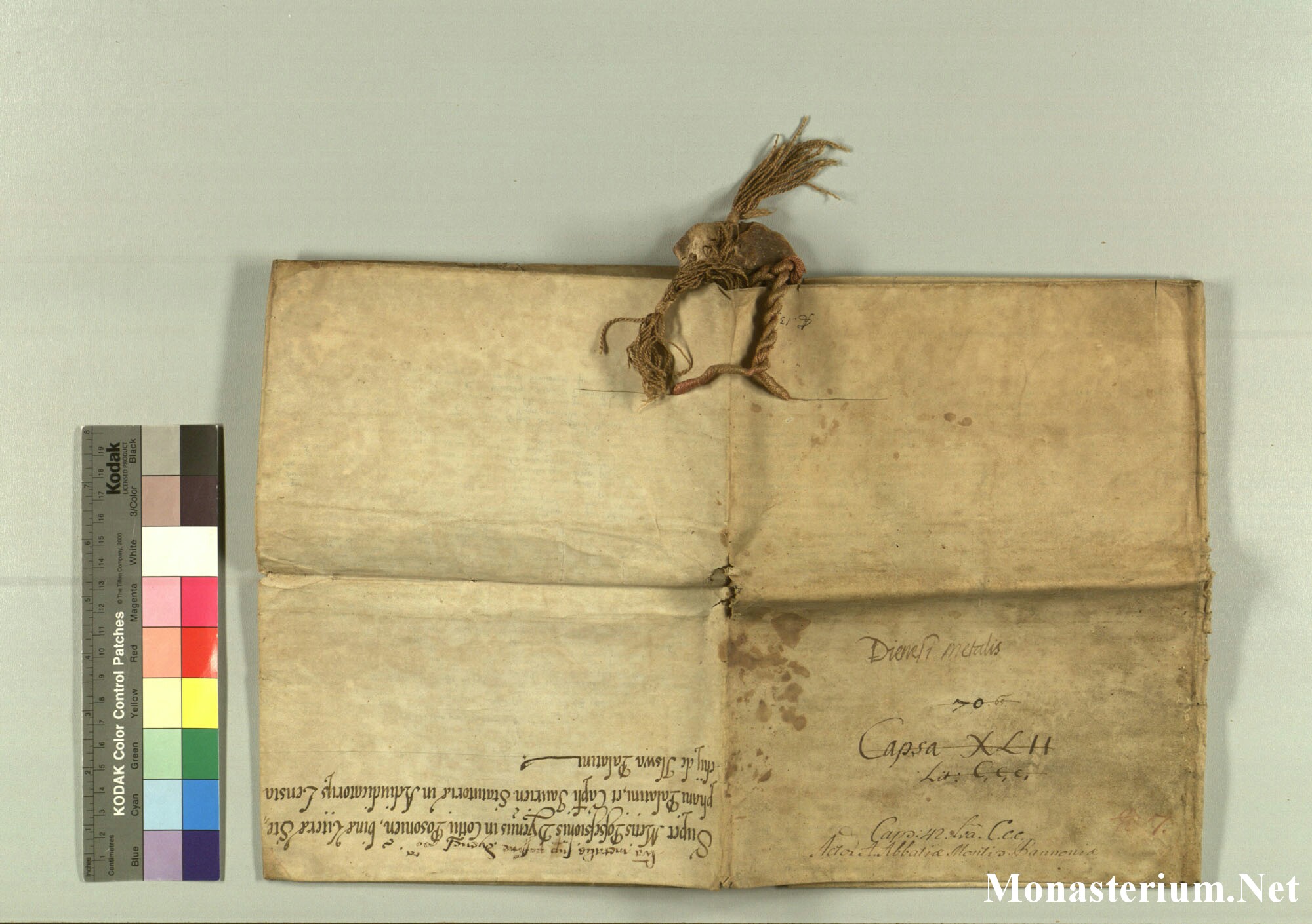 K.._MOM-Bilddateien._~Pannonhalmajpgweb._~Capsarium._~Pann_1394_06_05_207484v.jpg