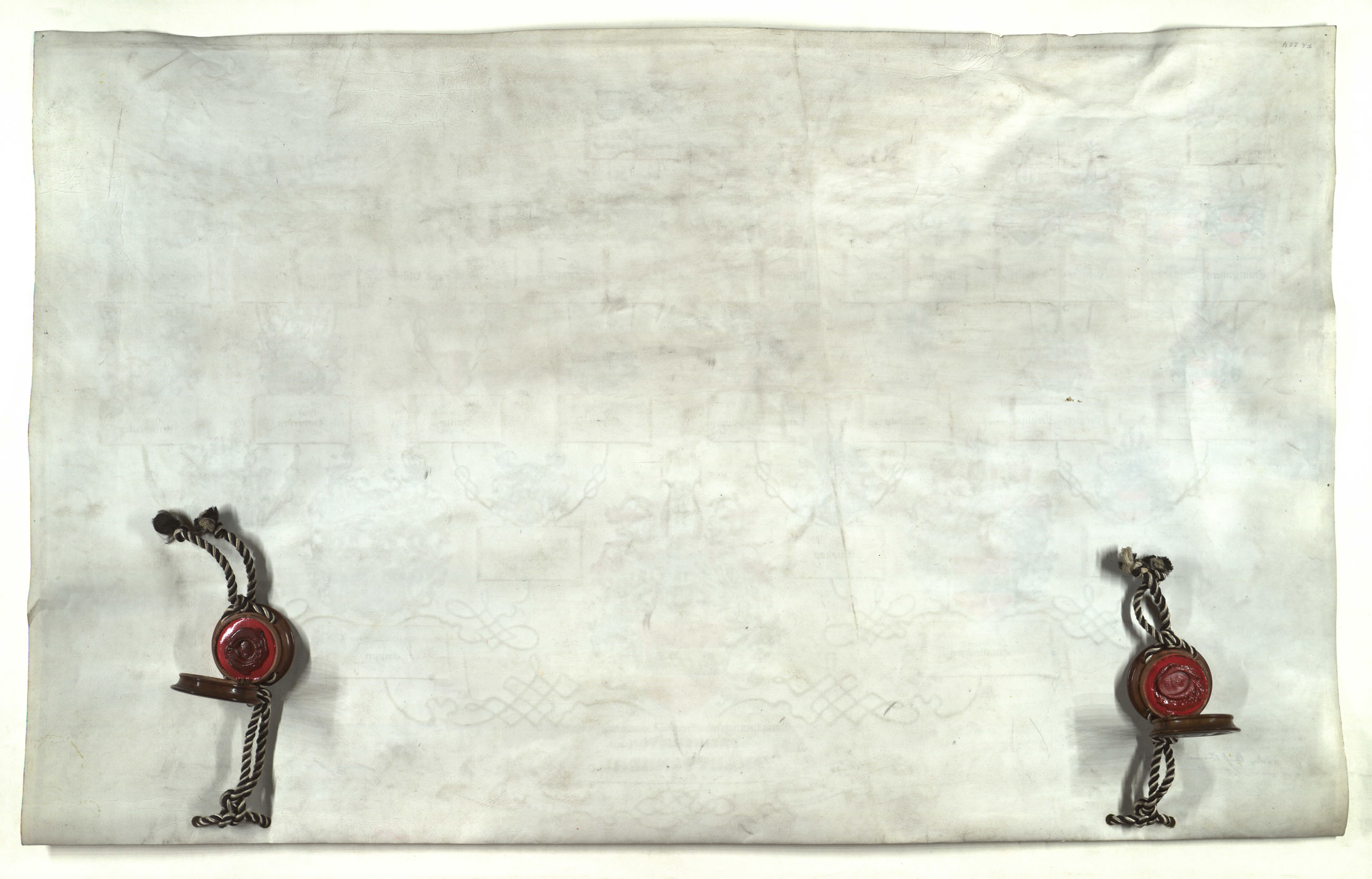 DOZA-Ahnenproben_Ri-0407-Nr.1884_v.jpg