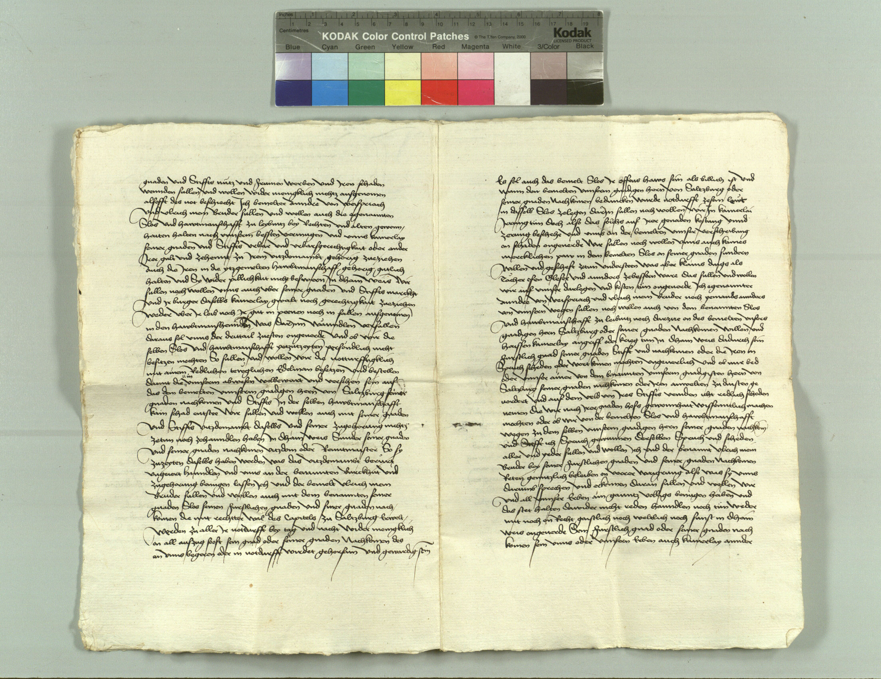 HHSTA_Salzburg_1494-1504_00_00-29-3.jpg