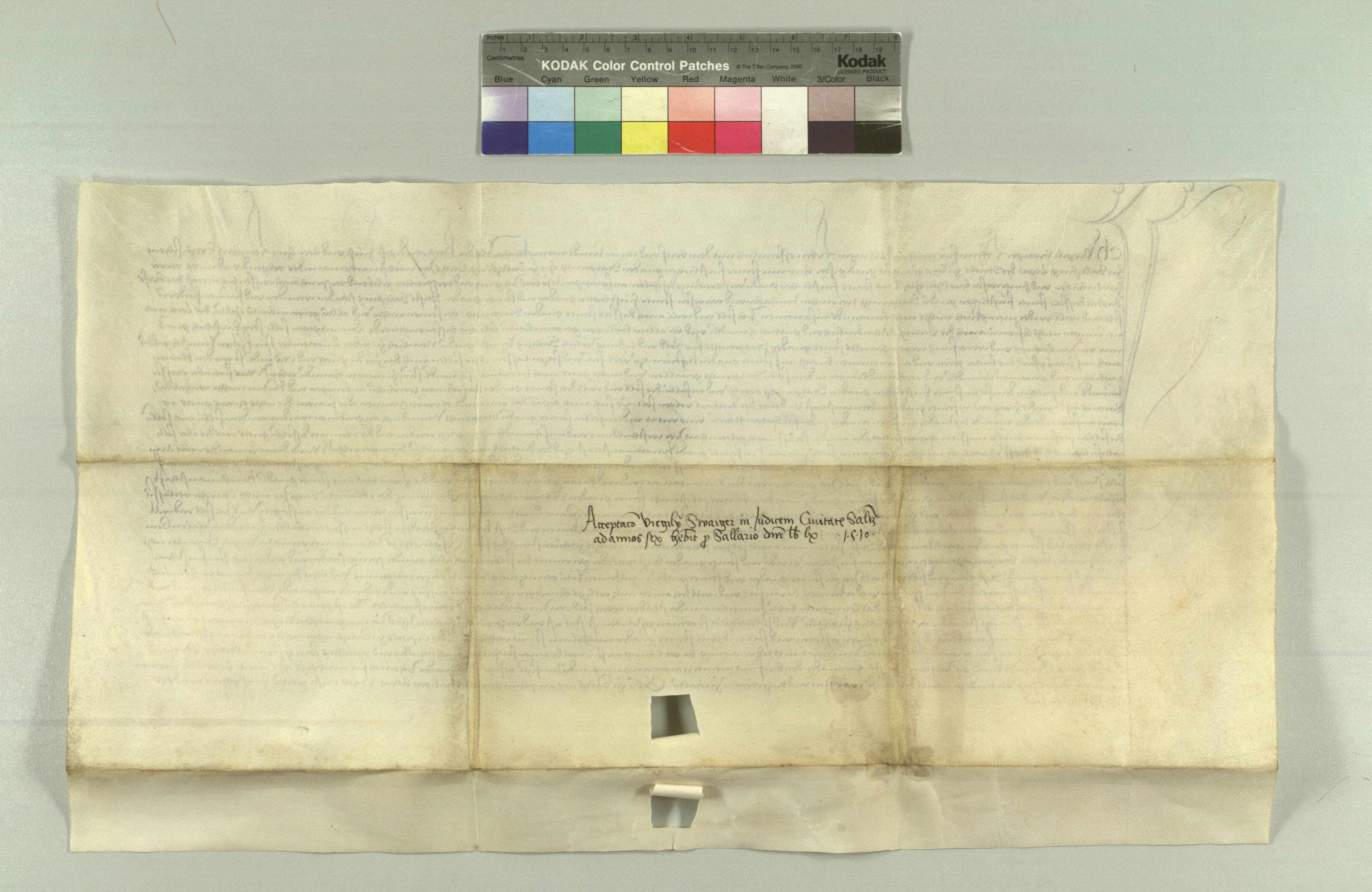 HHSTA_Salzburg_1510_10_31v.jpg
