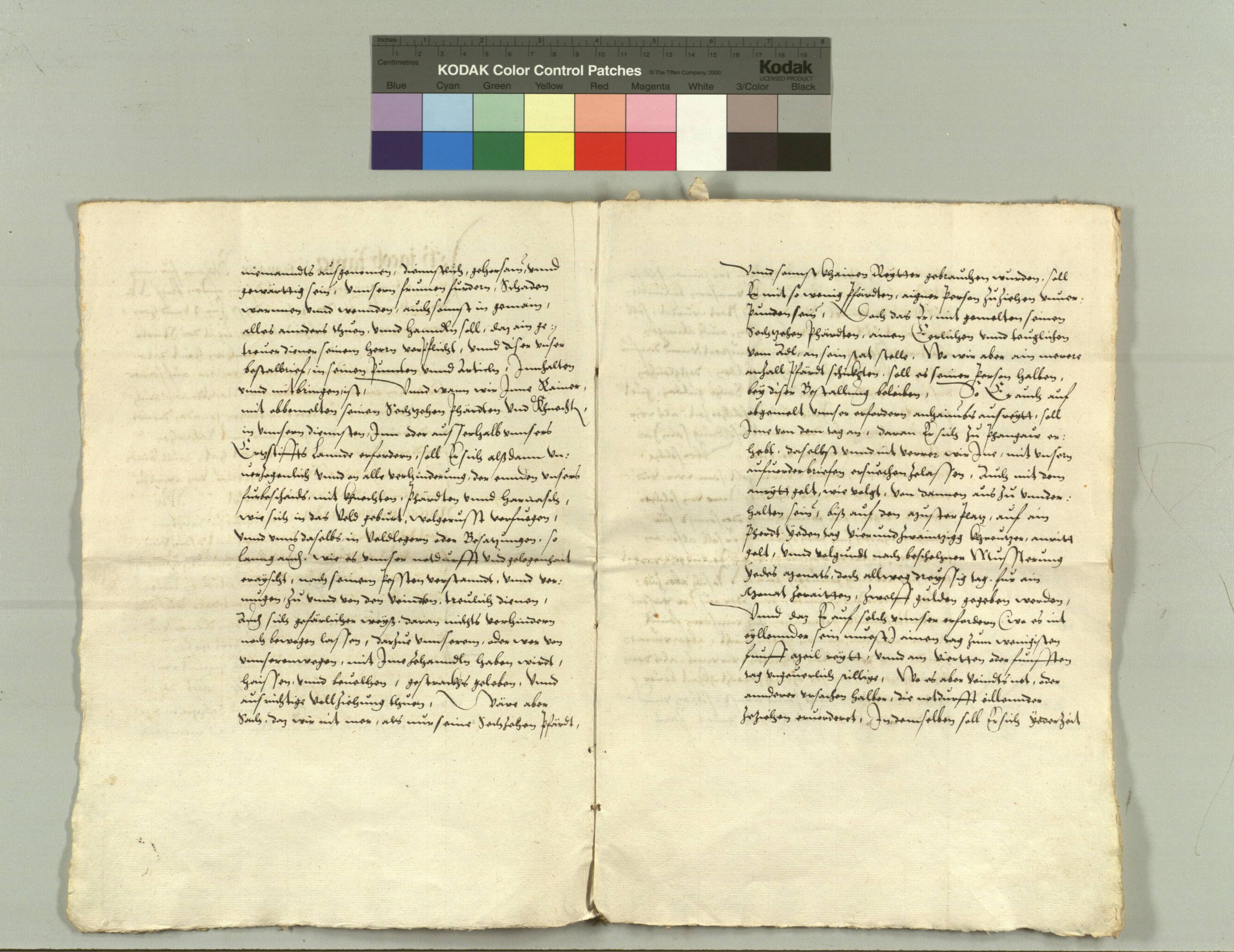 HHSTA_Salzburg_1556_02_26-1-3.jpg