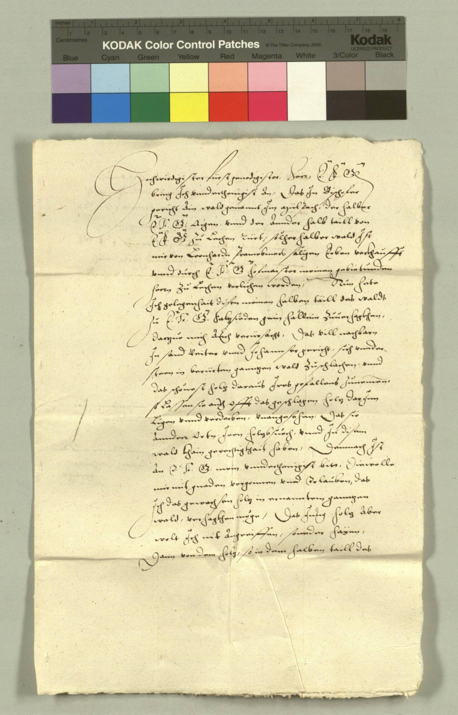 HHSTA_Salzburg_1562_09_30-4-1.jpg