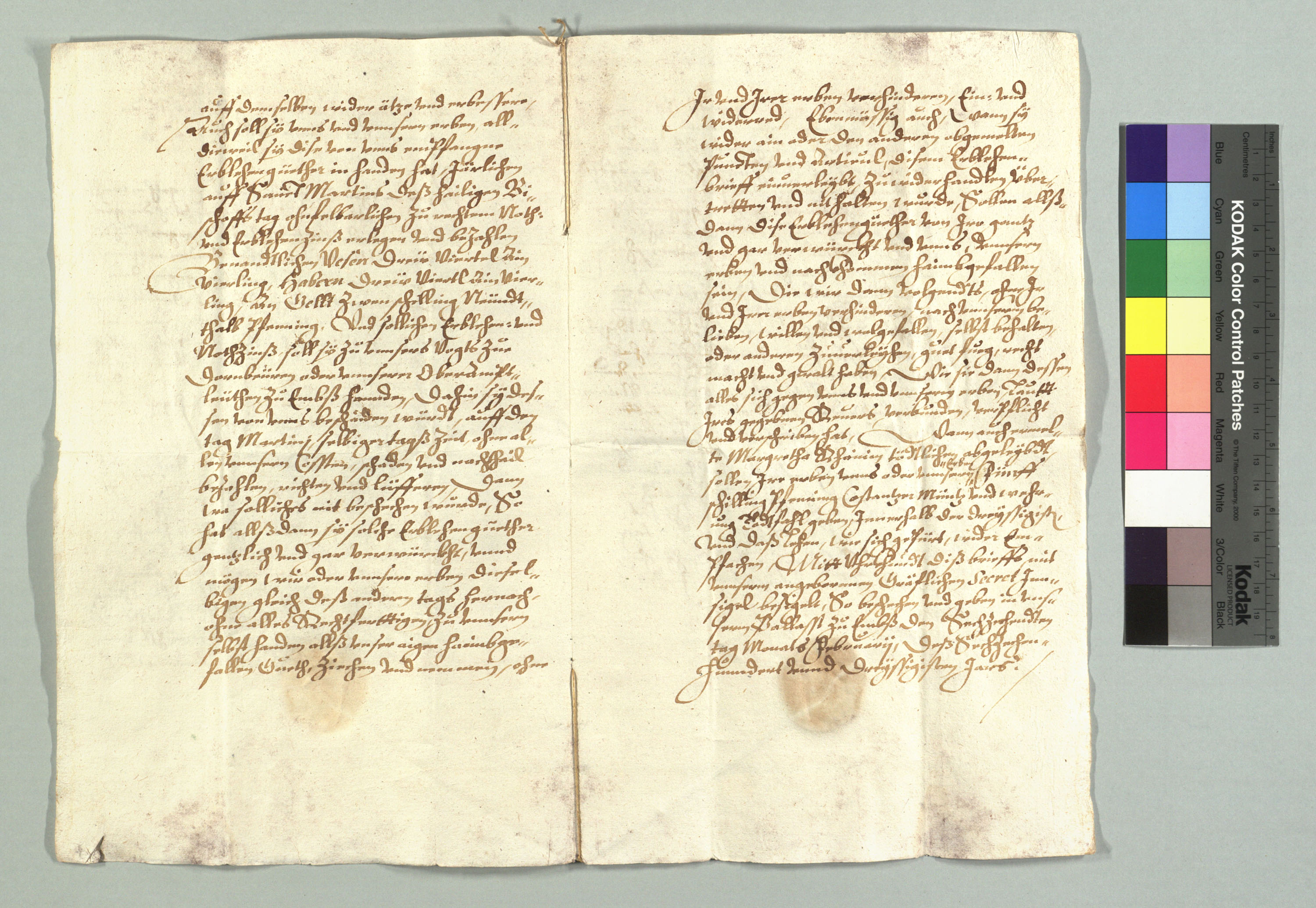 StAD_16300216_632_03.jpg