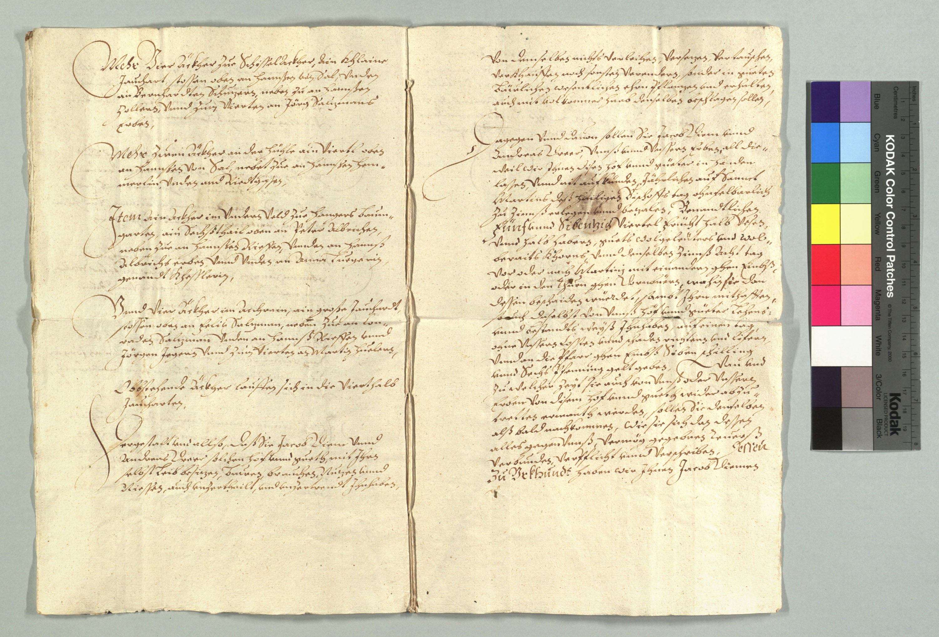 StAD_16351111_635_03.jpg