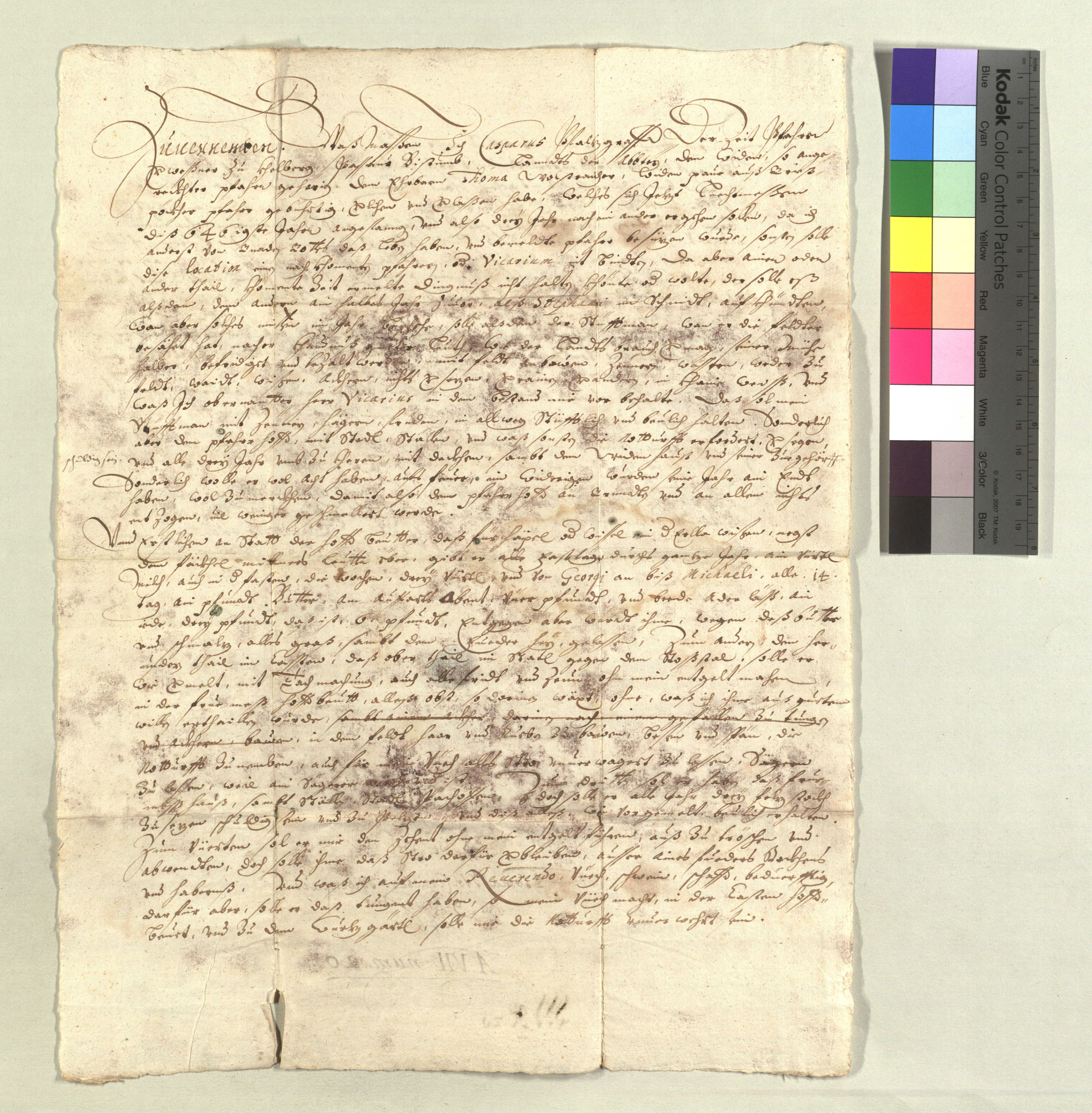 BayHStA-Passau-Domkapitel_07543_r.jpg