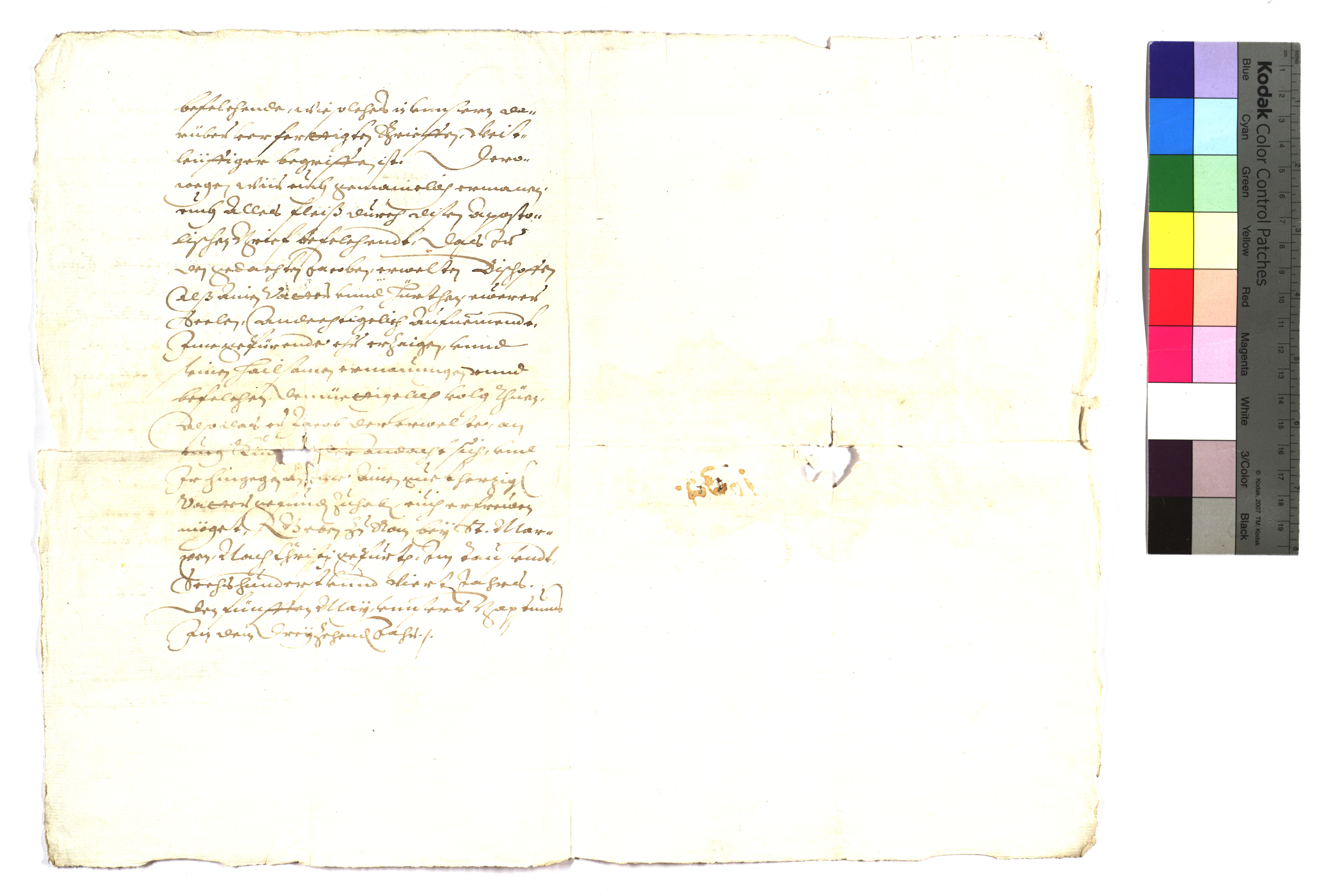 EAF_Urkundensammlung-Zell_104_v.jpg