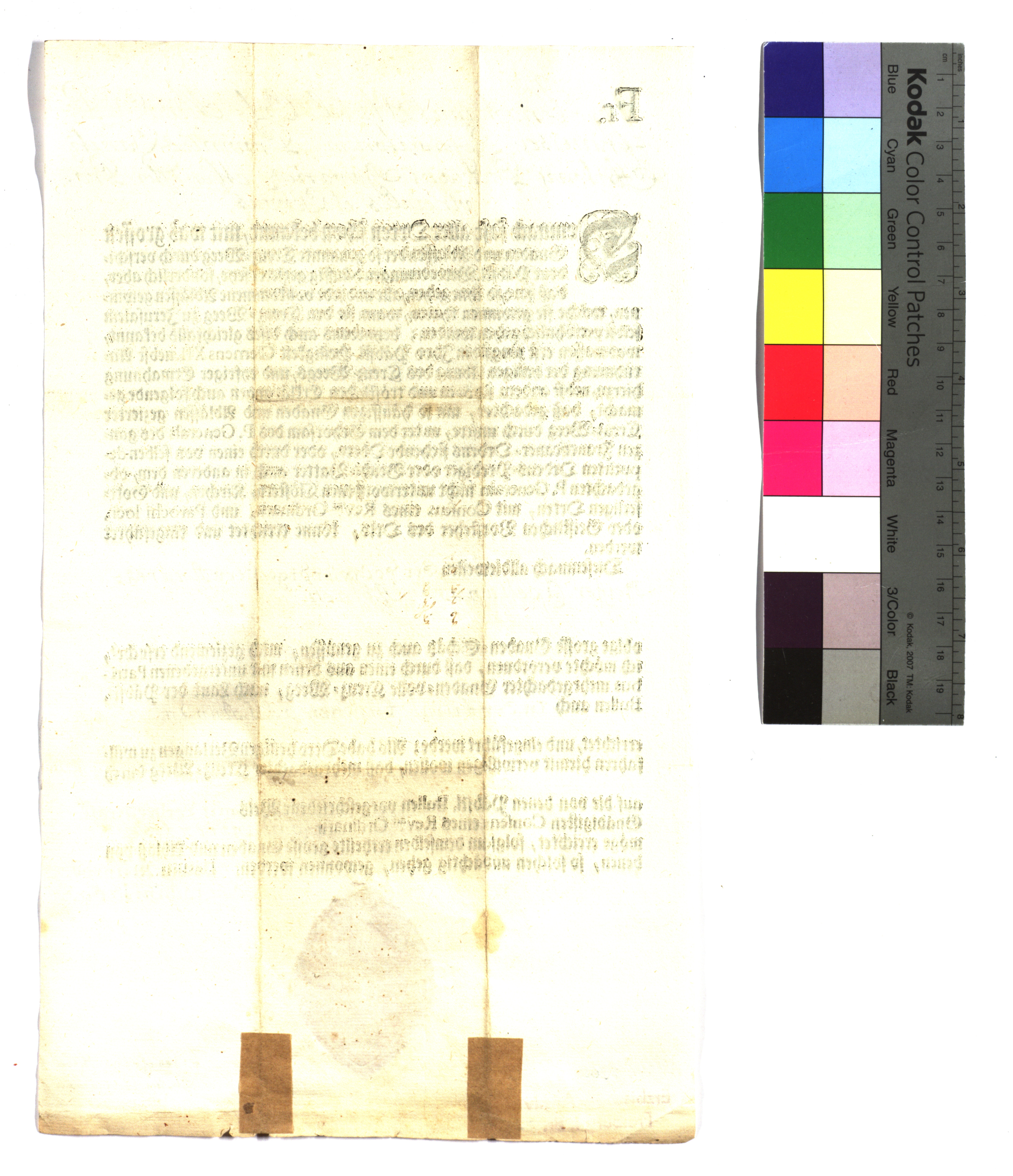 EAF_Urkundensammlung-Zell_251d_v.jpg