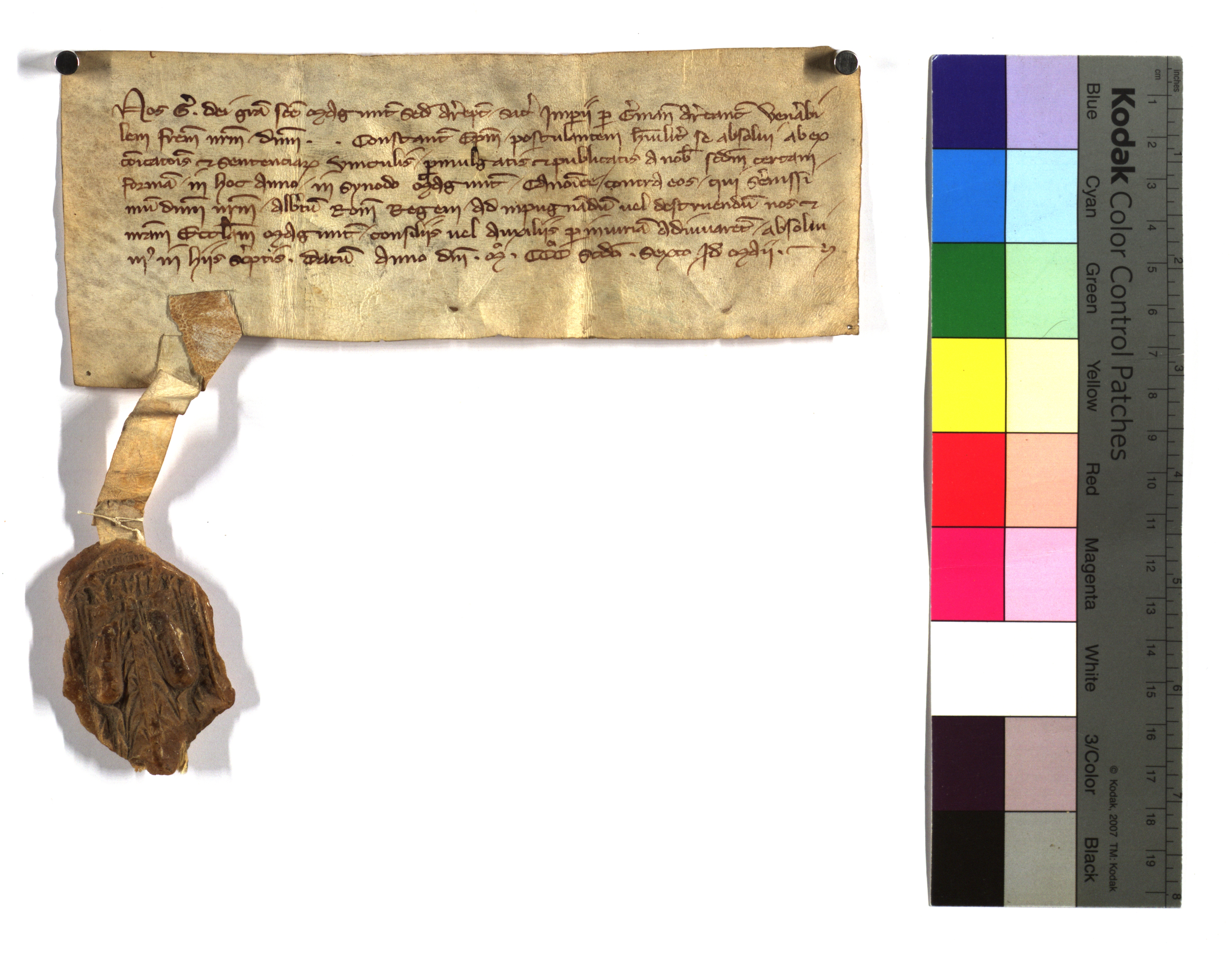 EAF_Urkundensammlung-Zell_264_r.jpg