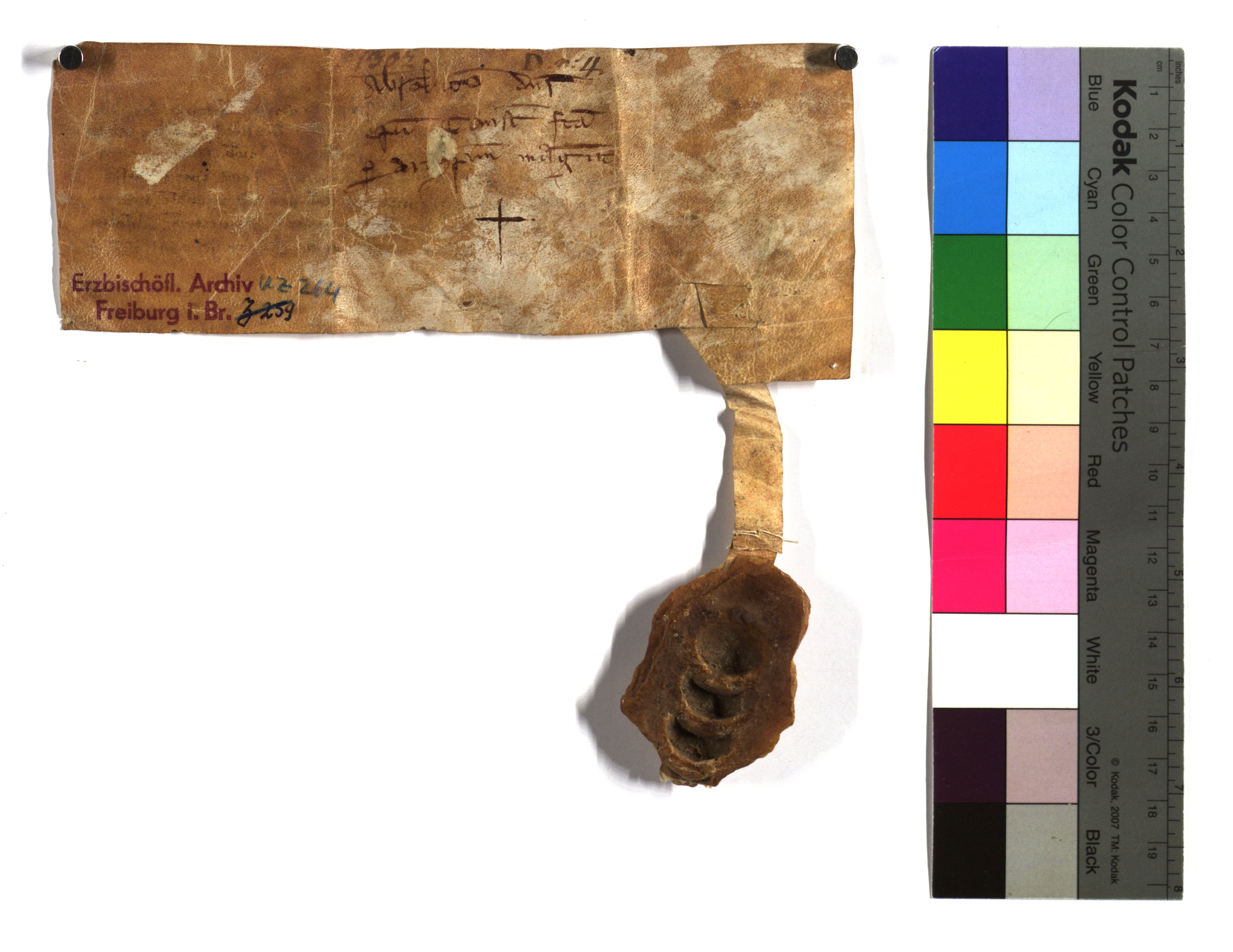 EAF_Urkundensammlung-Zell_264_v.jpg