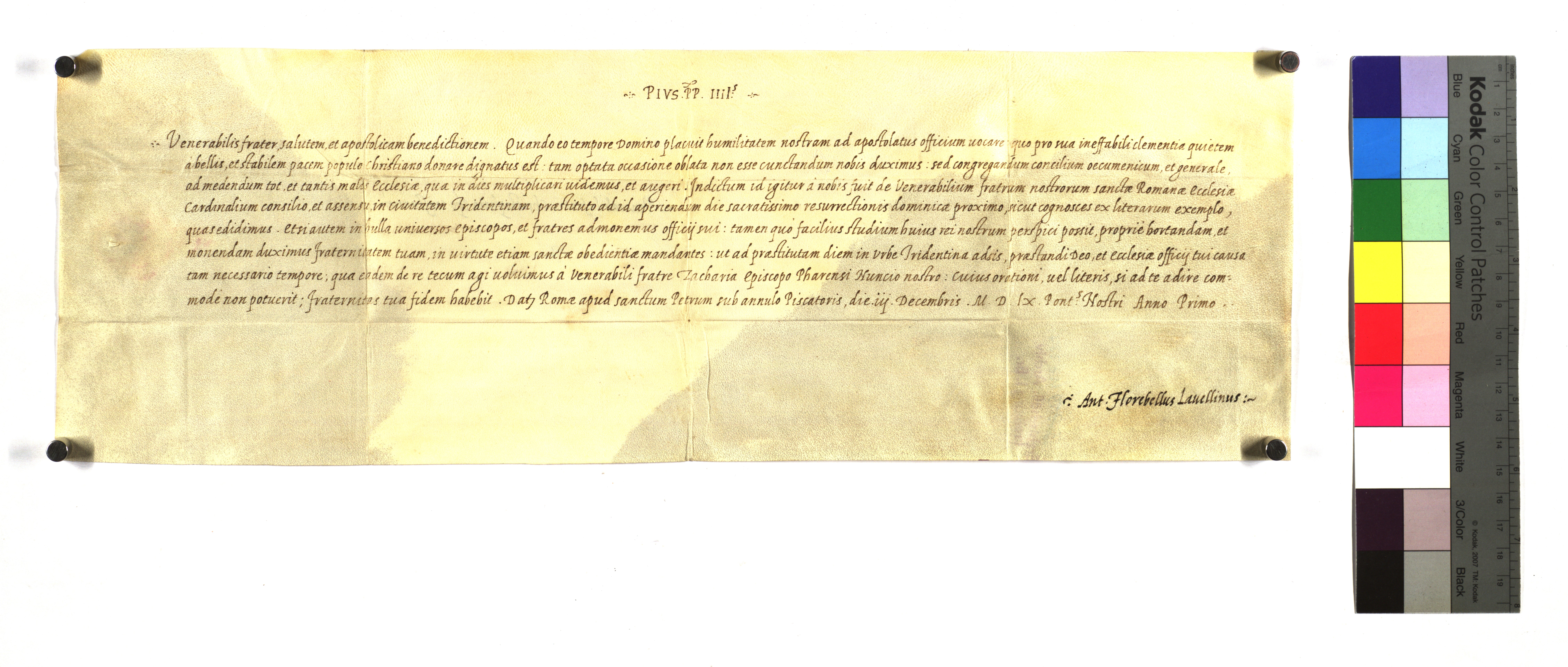 EAF_Urkundensammlung-Zell_337_r.jpg