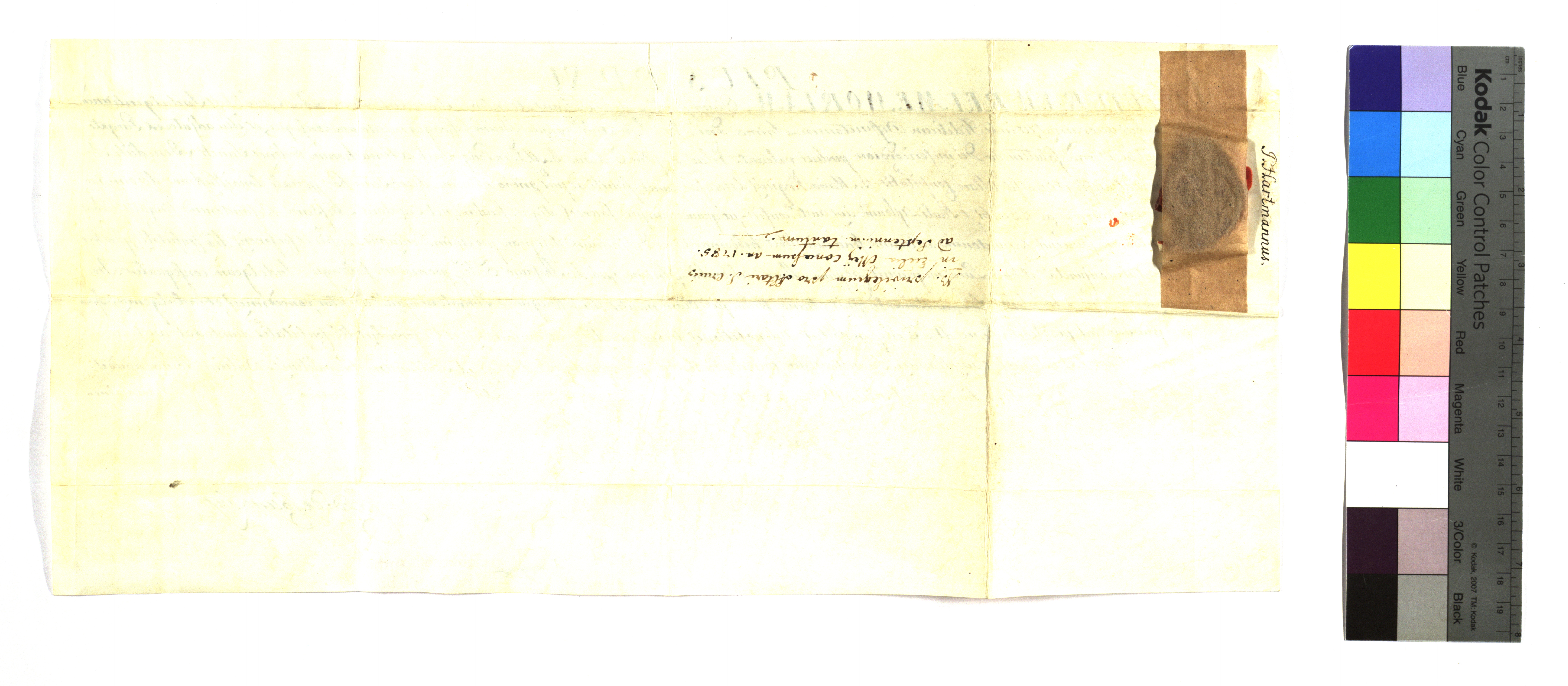 EAF_Urkundensammlung-Zell_445d_v.jpg