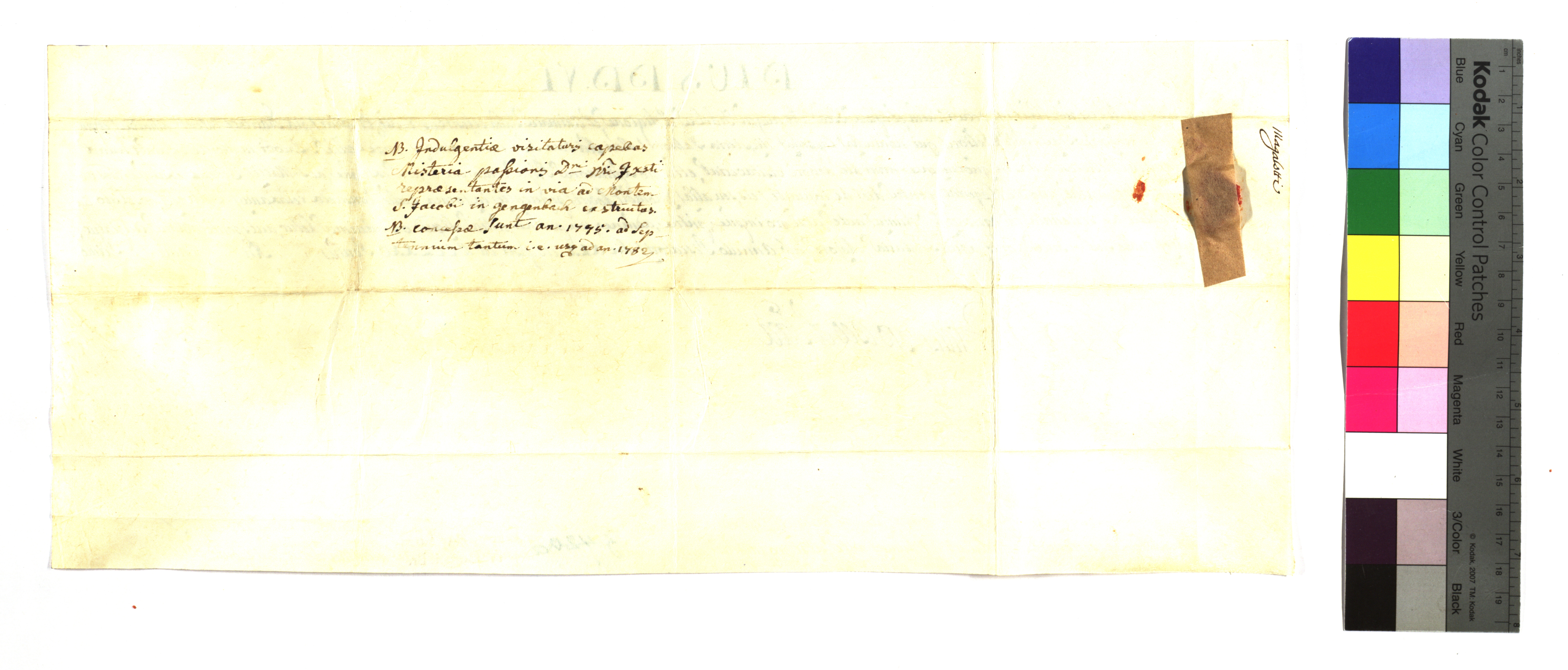EAF_Urkundensammlung-Zell_447b_v.jpg