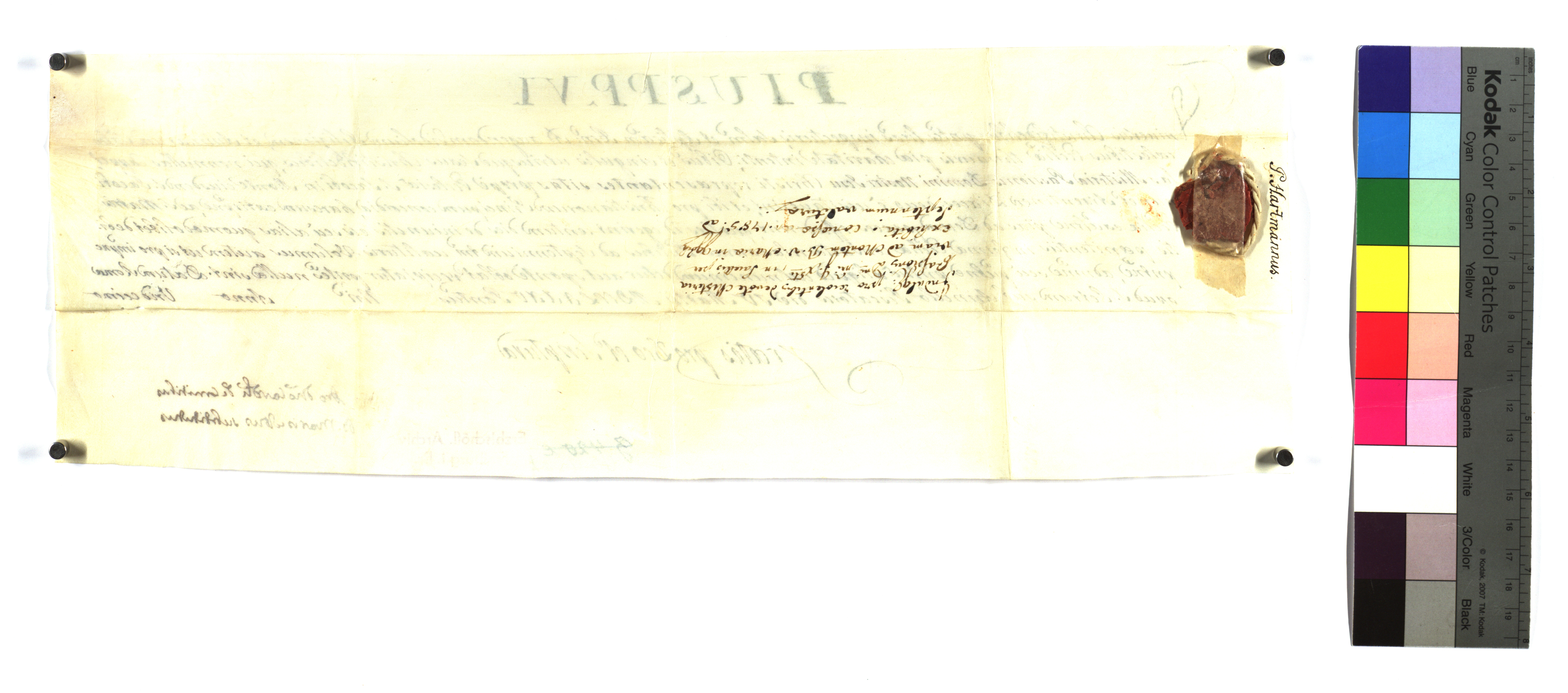 EAF_Urkundensammlung-Zell_447f_v.jpg