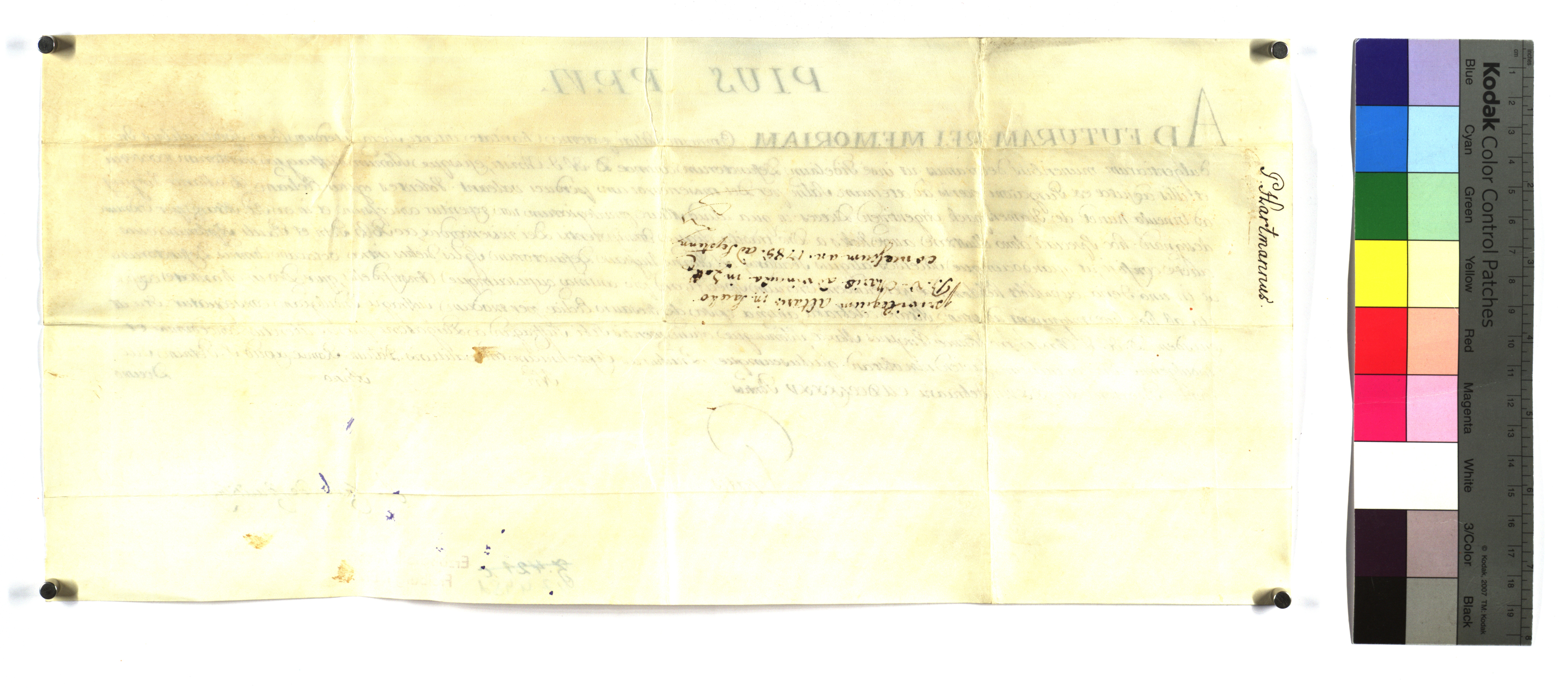 EAF_Urkundensammlung-Zell_448d_v.jpg