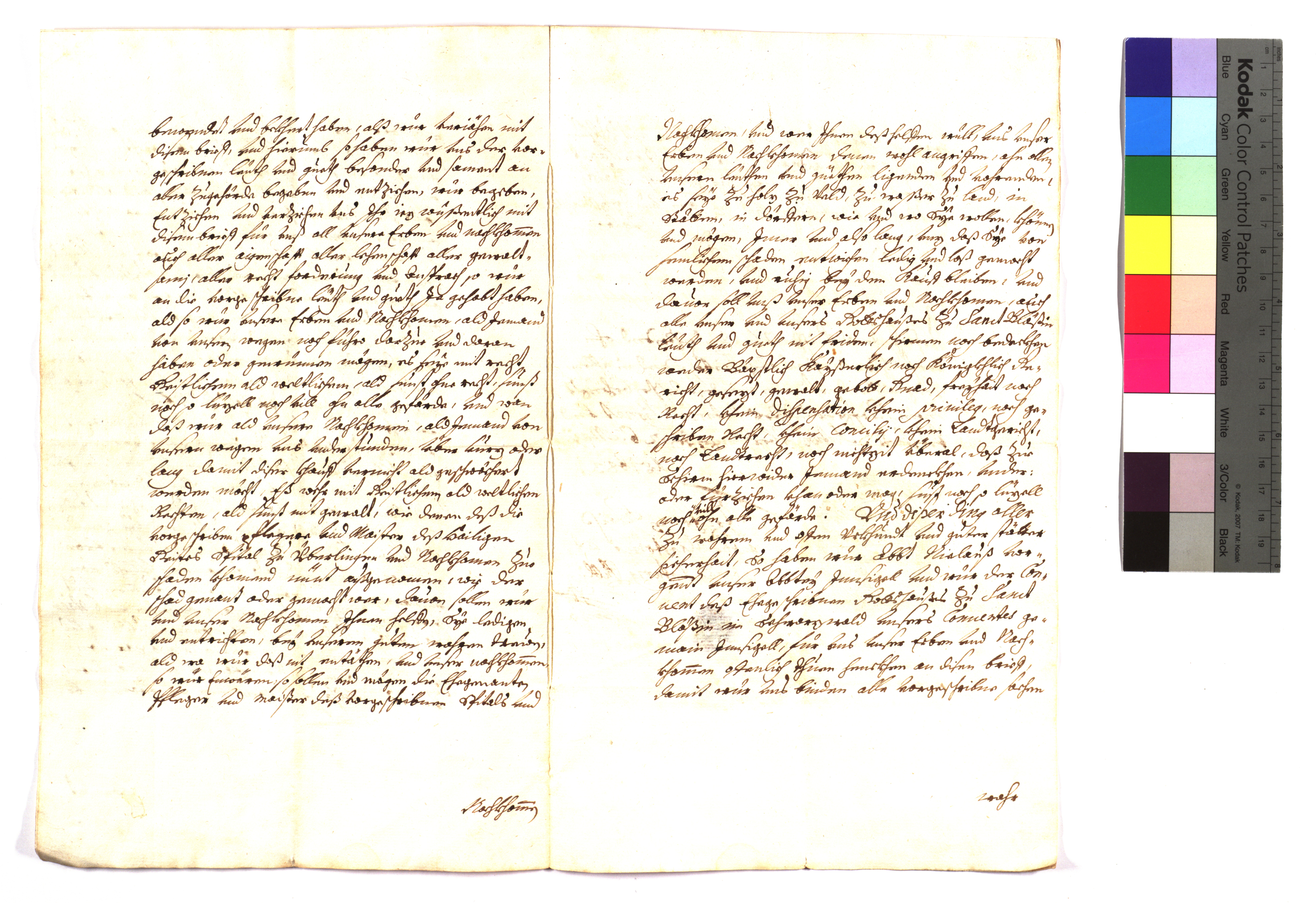 EAF_Urkundensammlung-Zell_452_03.jpg