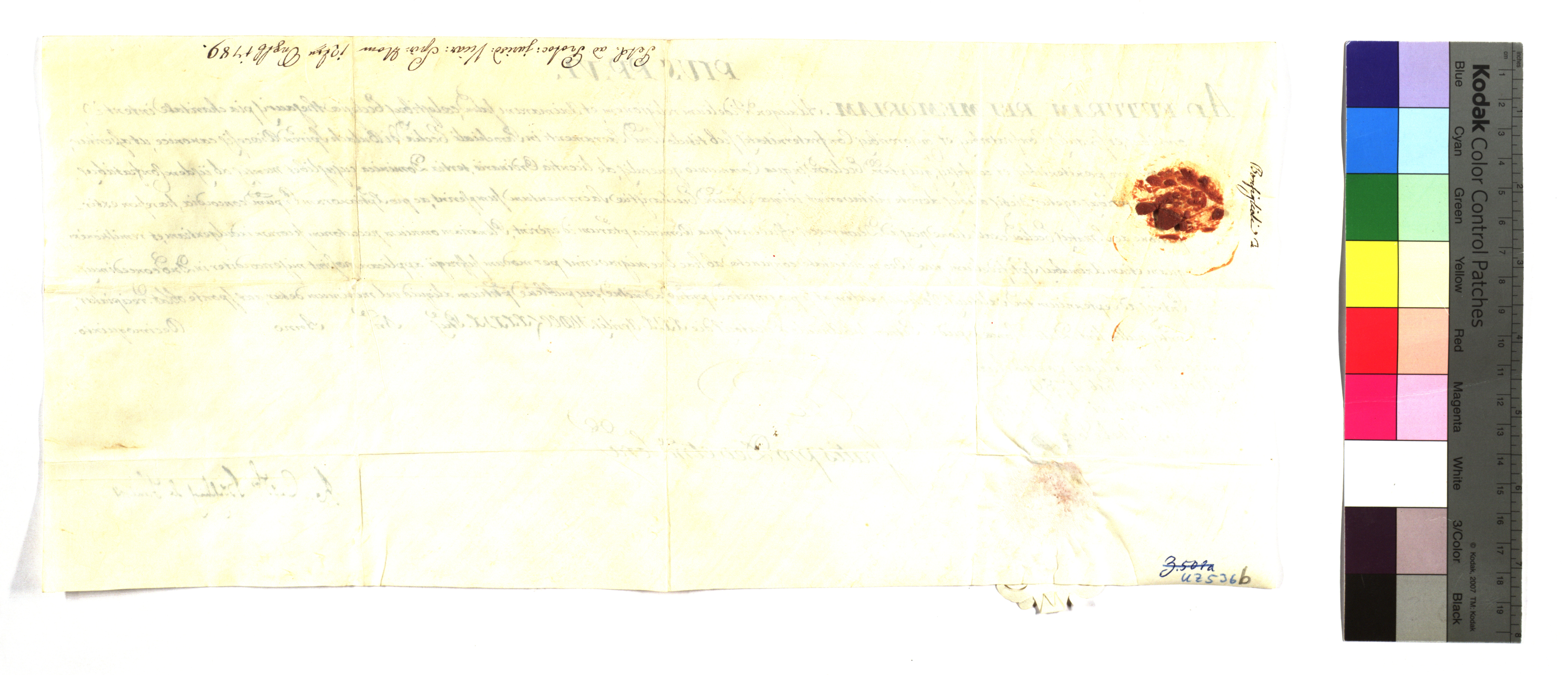 EAF_Urkundensammlung-Zell_536b_v.jpg