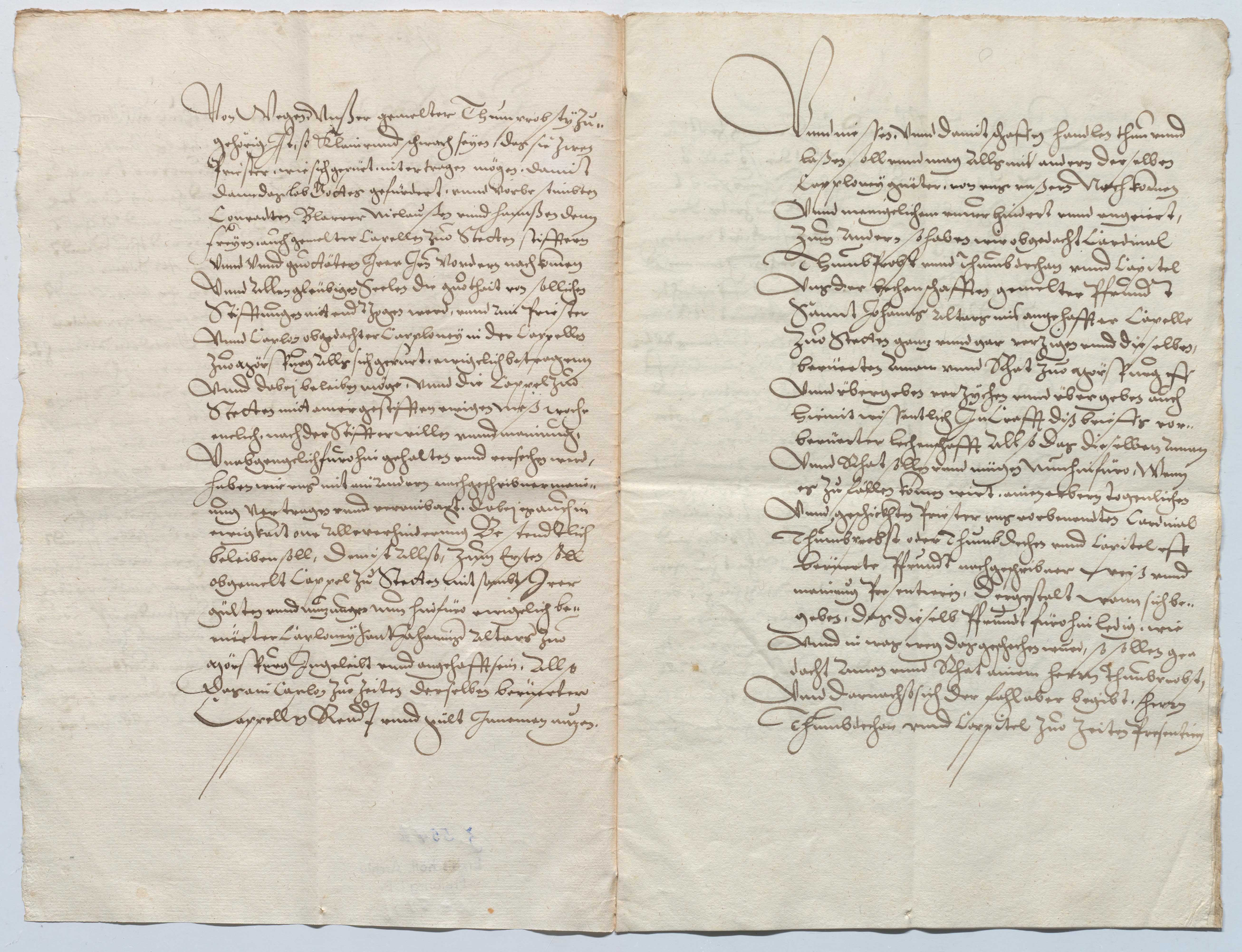 EAF_Urkundensammlung-Zell_599b_02.jpg