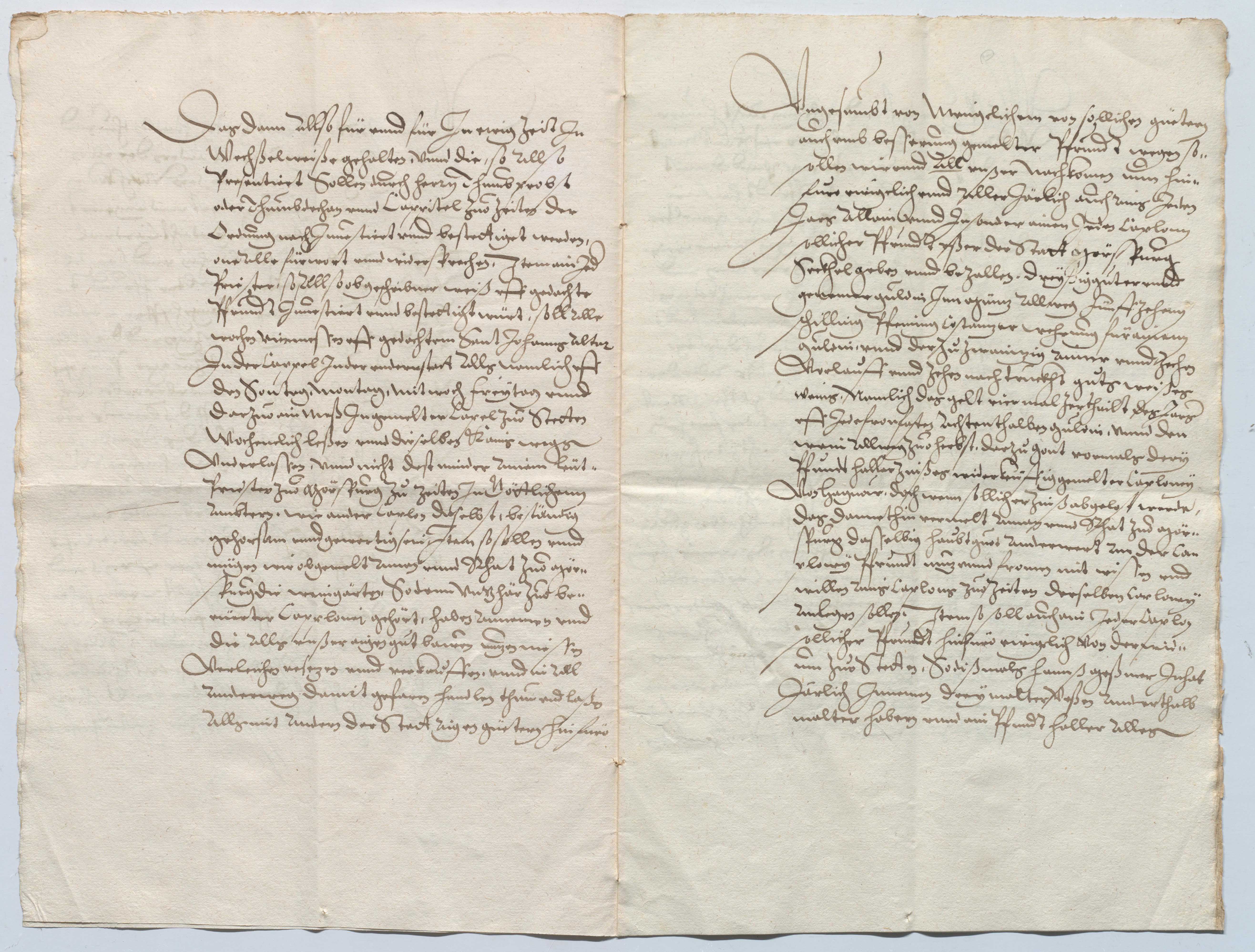 EAF_Urkundensammlung-Zell_599b_03.jpg