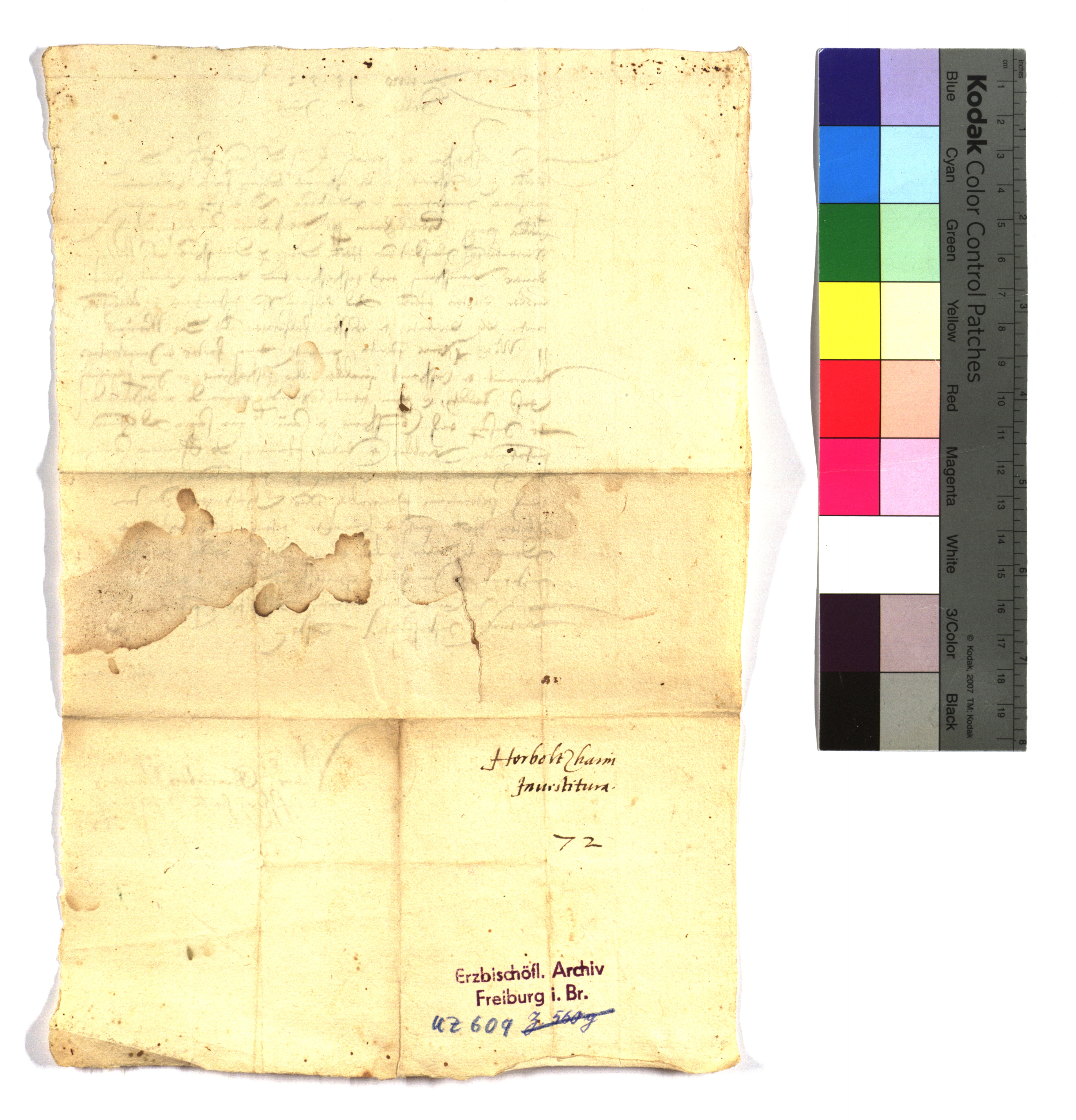 EAF_Urkundensammlung-Zell_609h_v.jpg