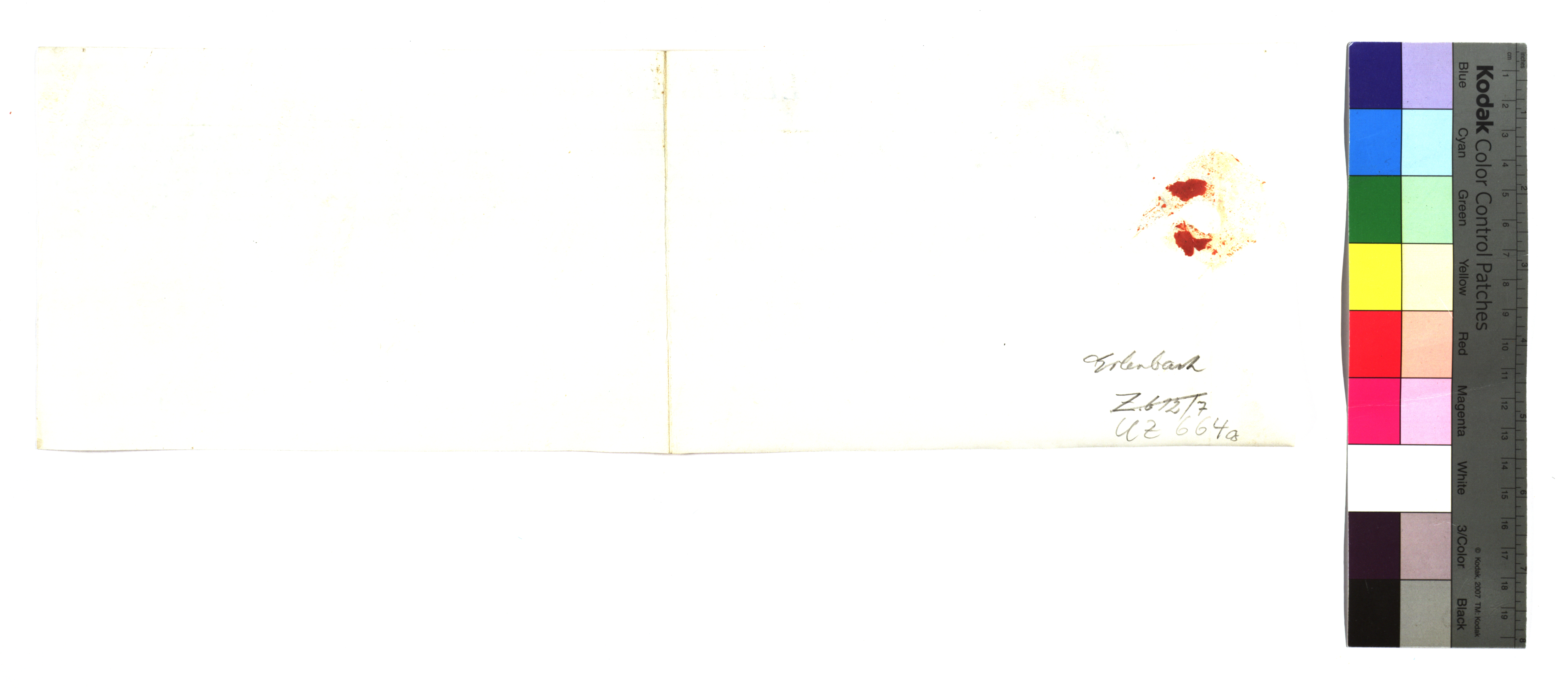EAF_Urkundensammlung-Zell_664g_v.jpg